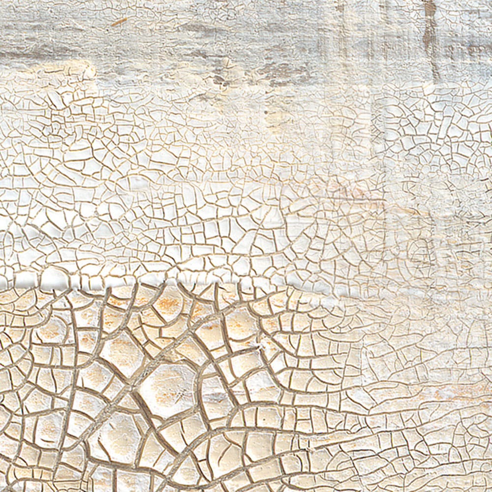 Komar Papier peint photo »Vlies Fototapete - Shabby Chic - Grösse 368 x 248 cm« imprimé