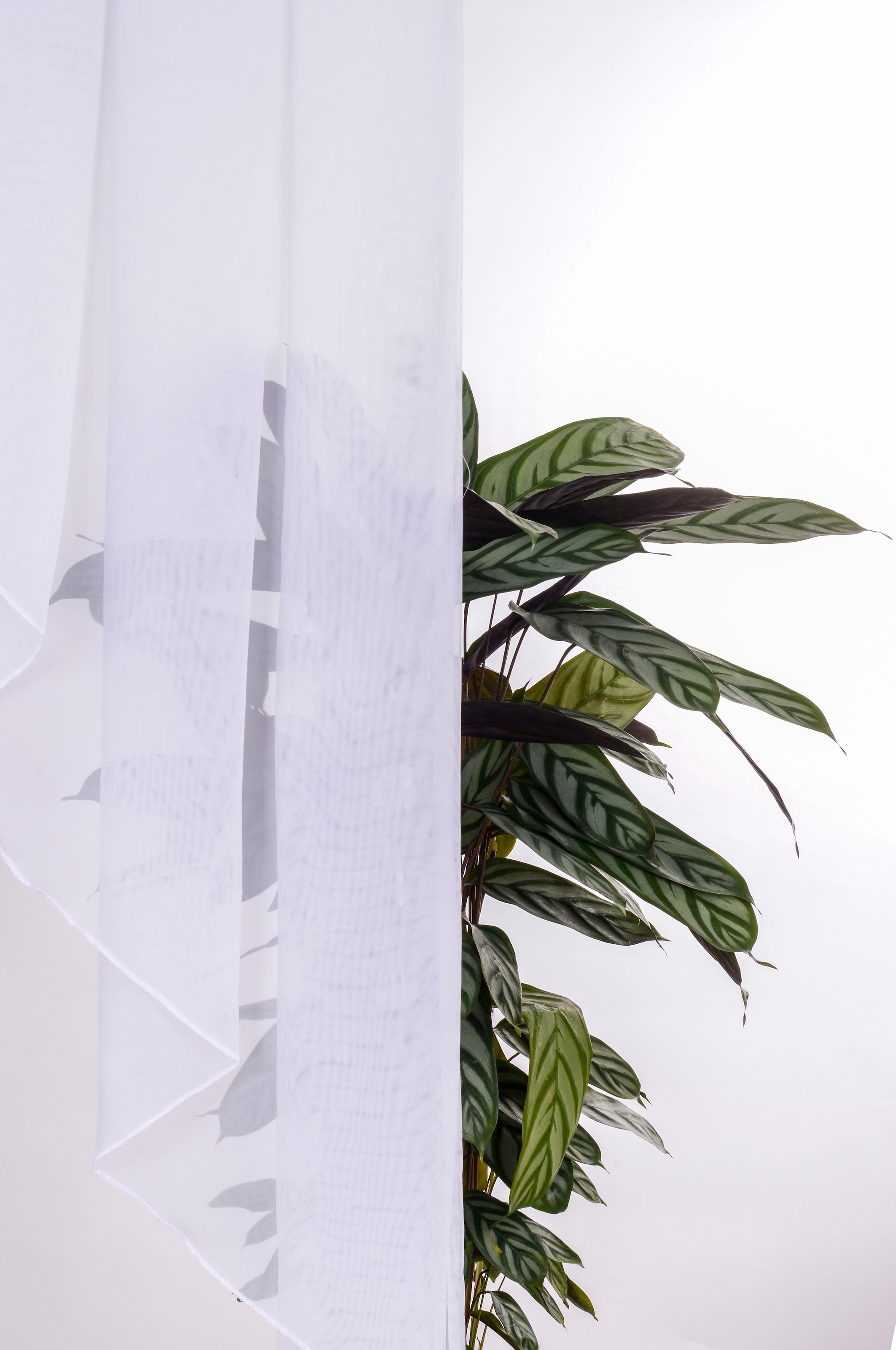 my home Kuvertstore »Sinan« Stangendurchzug 1 Stk. tlg. Kräuselbandaufhängung