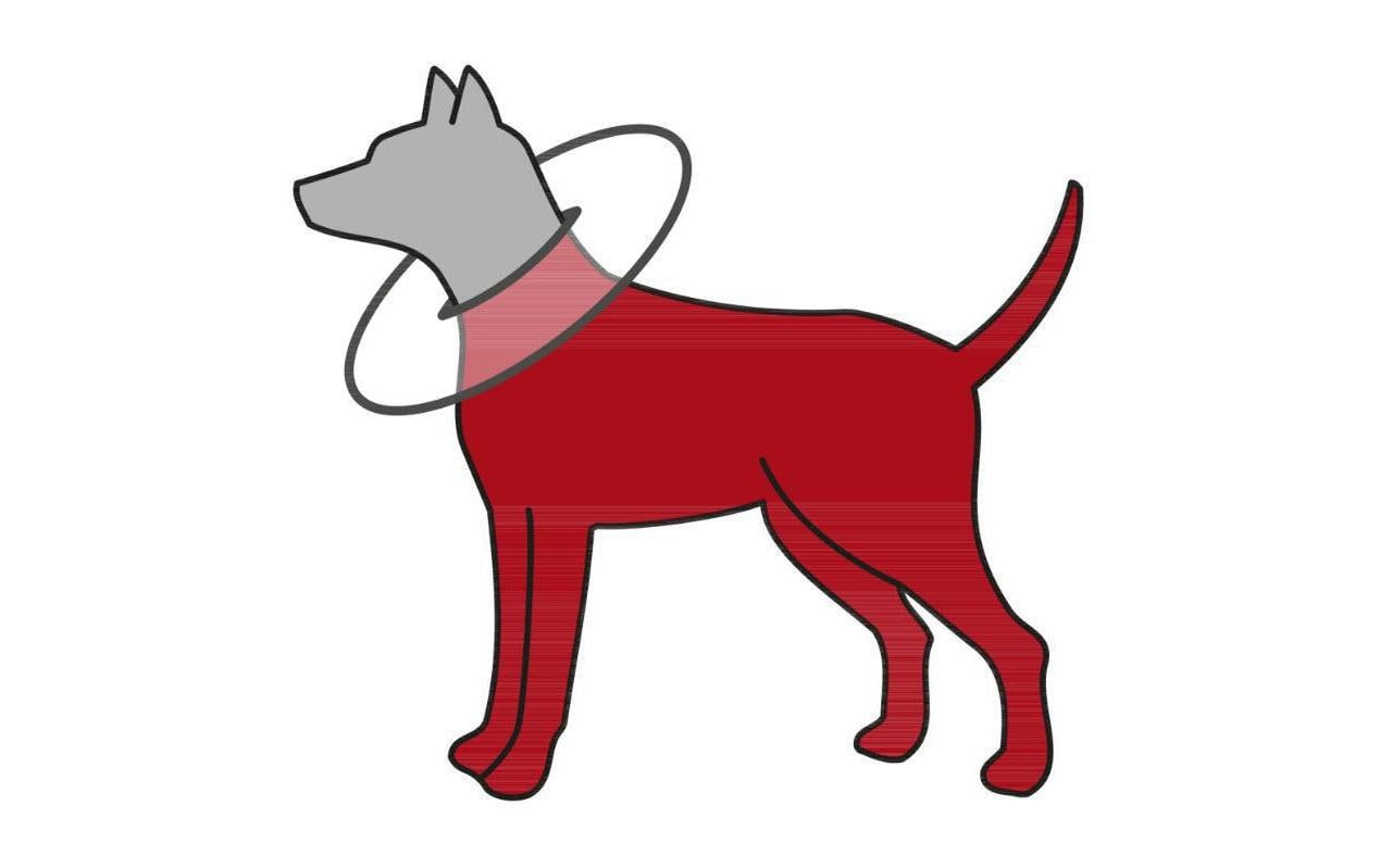 TRIXIE Collier de protection »Schutzkragen weich mit Klettverschluss«