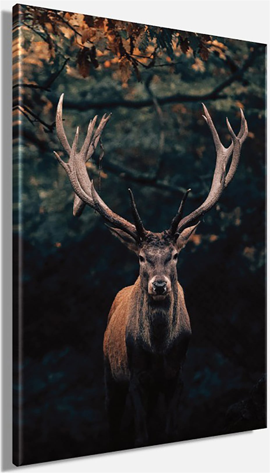 Bönninghoff Tableau sur toile »Wandbild HIRSCH IM WALD 78x118 cm – Leinwandbild Keilrahmen Deko« Cerf 1 cuis tlg. tendu sur châssis