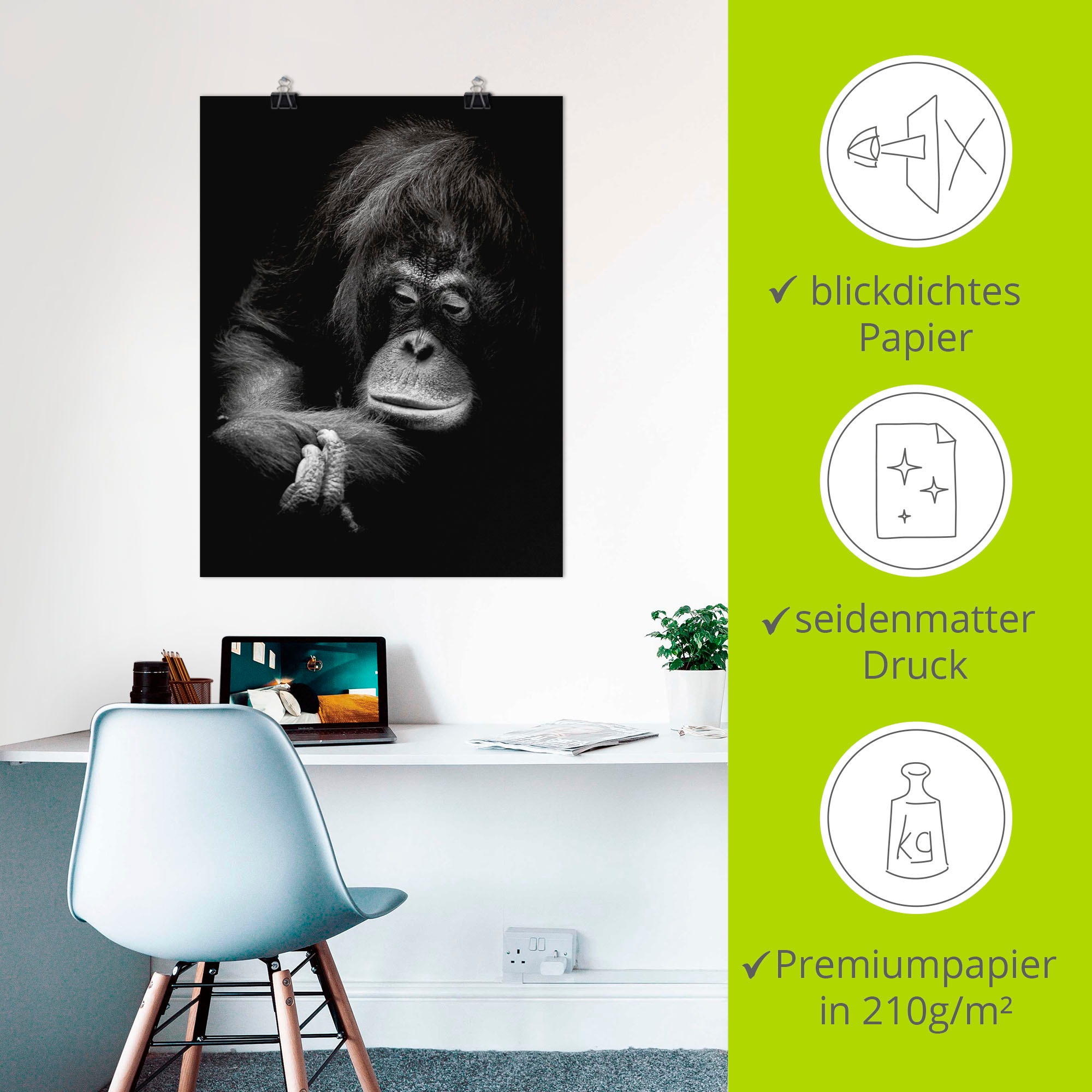 Artland Poster »Der nachdenkliche Orang Utan« Images de singes 1 cuis tlg. ohne Rahmen