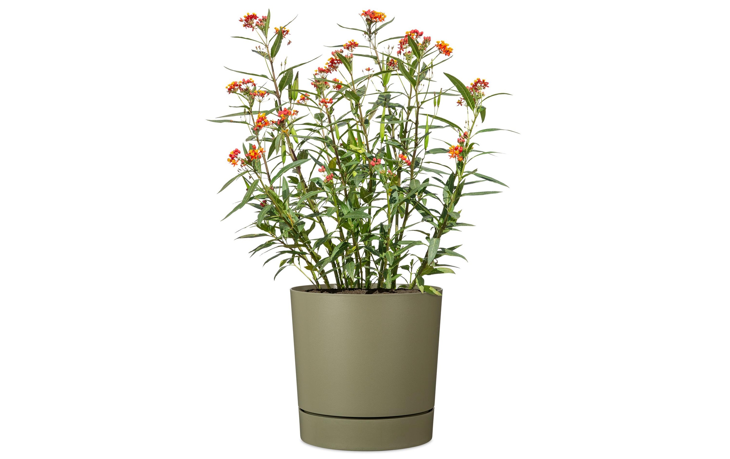   Pot de fleurs »47/235 PLANO+« pot de fleurs en plastique, ØxH : 46,7x46 cm