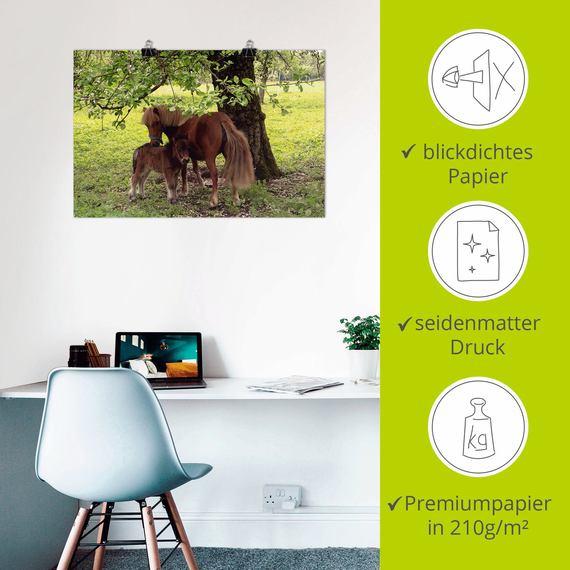 Artland Wandbild »Pony - Mutterglück« Haustiere 1 Stk. tlg. als Alubild, Outdoorbild, Leinwandbild, Poster, Wandaufkleber
