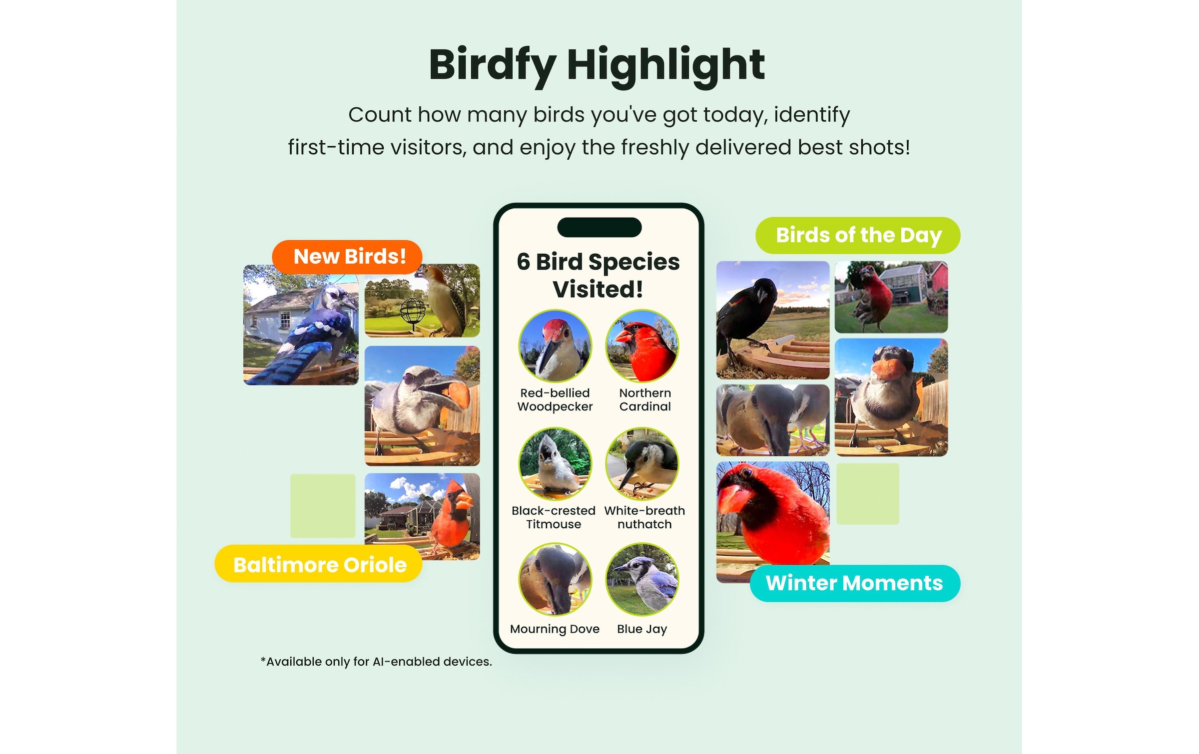   Vogelhaus »mit Kamera 1080p« Smartes Vogelhaus mit Kamera mit Farb-Nachtsicht