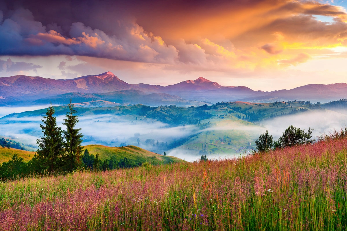 Papermoon Papier peint photo »Blumen mit Windmühle«