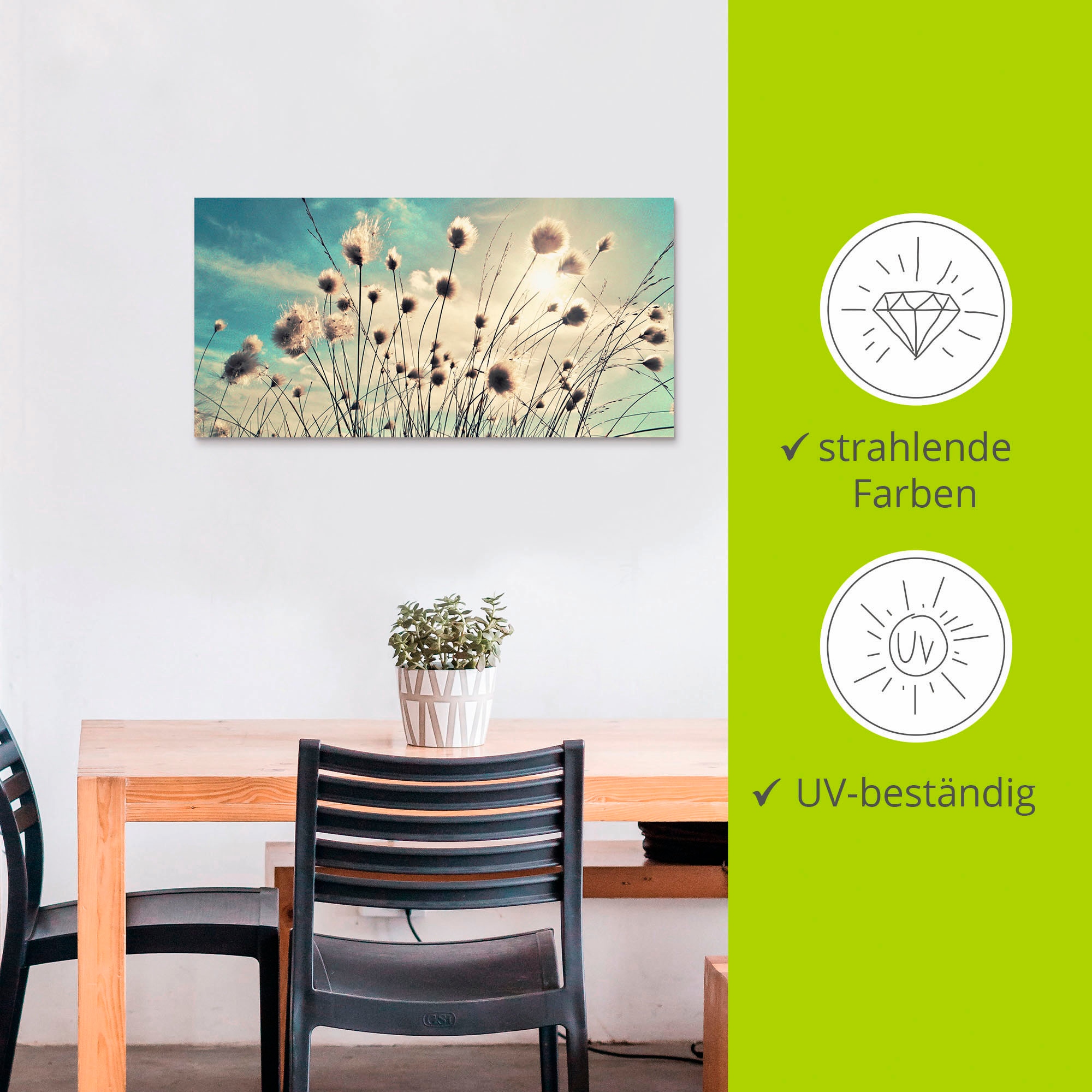 Artland Wandbild »Wollgras« Gräser 1 Stk. tlg. als Alubild, Leinwandbild in verschied. Grössen