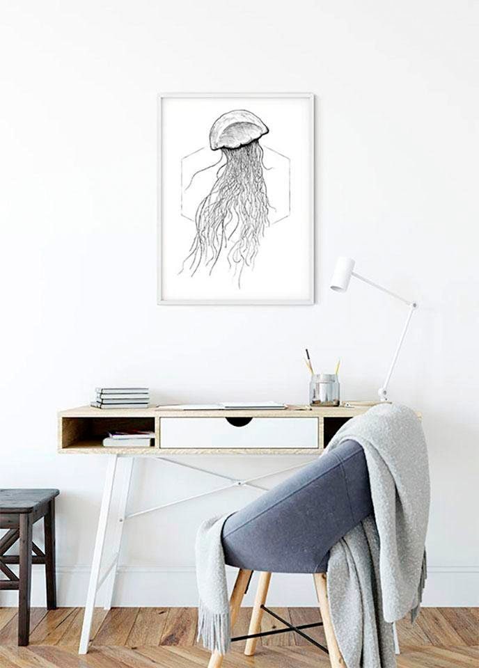 Komar Image »Jellyfish White« 1 cuis tlg. Wandbild zur Dekoration - ohne Rahmen