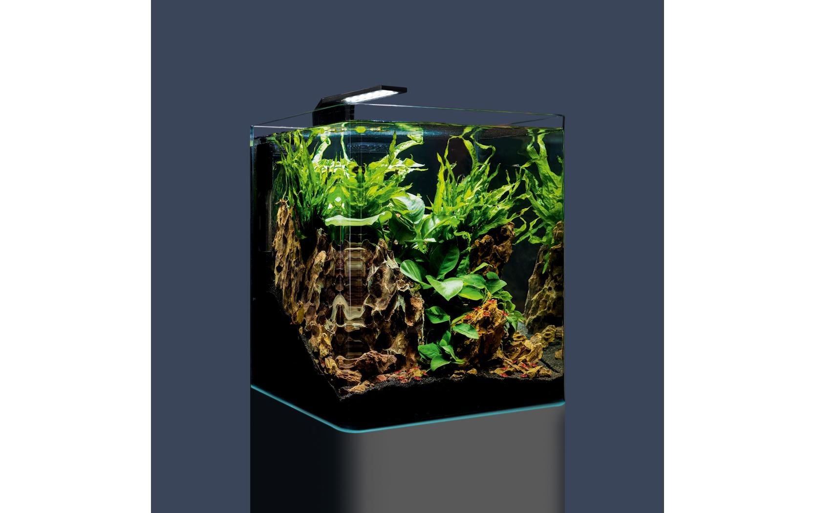 DENNERLE Set aquarium »Nano Cube Complete, 30 l« Mini Aquarium Komplettset