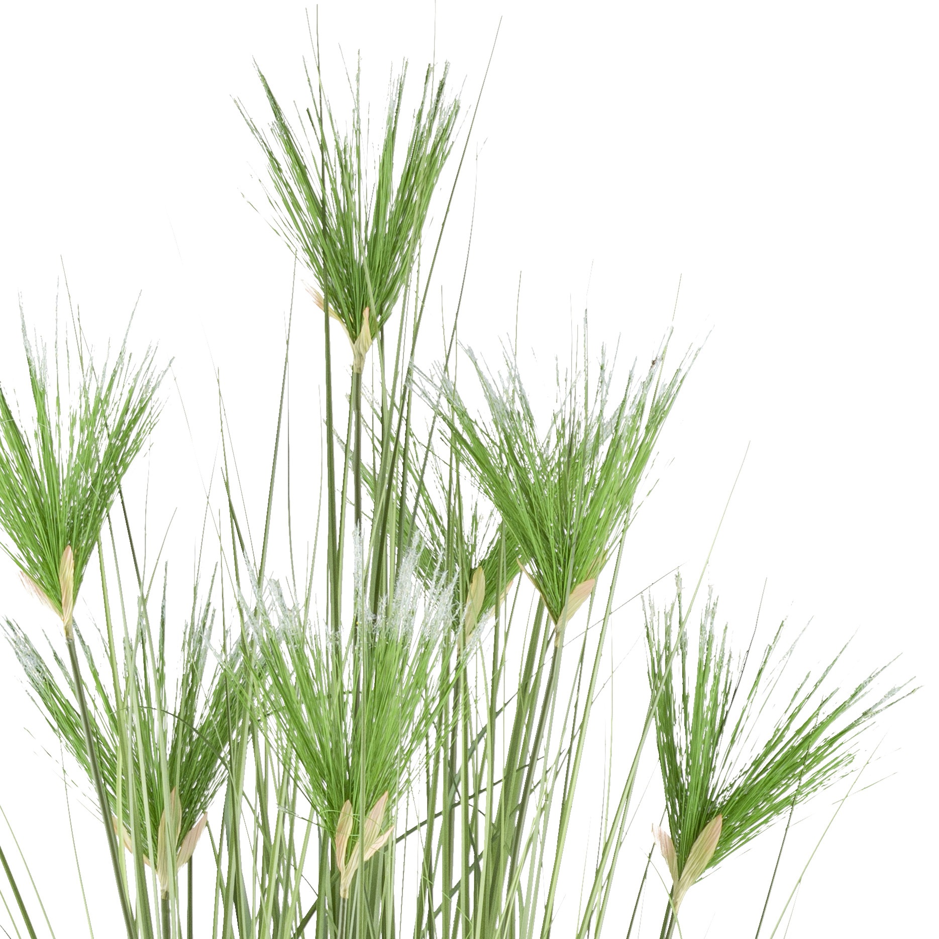 Creativ green Kunstgras »Zyperngras« mit sieben Zyperngrasblüten