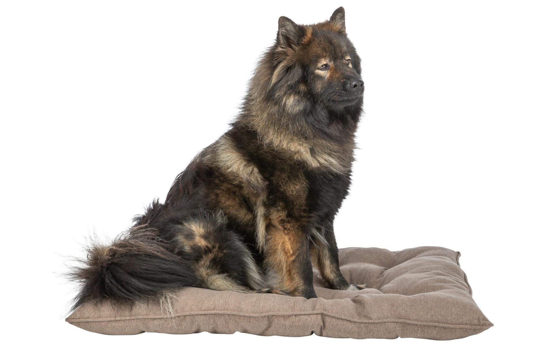 TRIXIE Tierkissen »Caliente 78 x 60 cm«