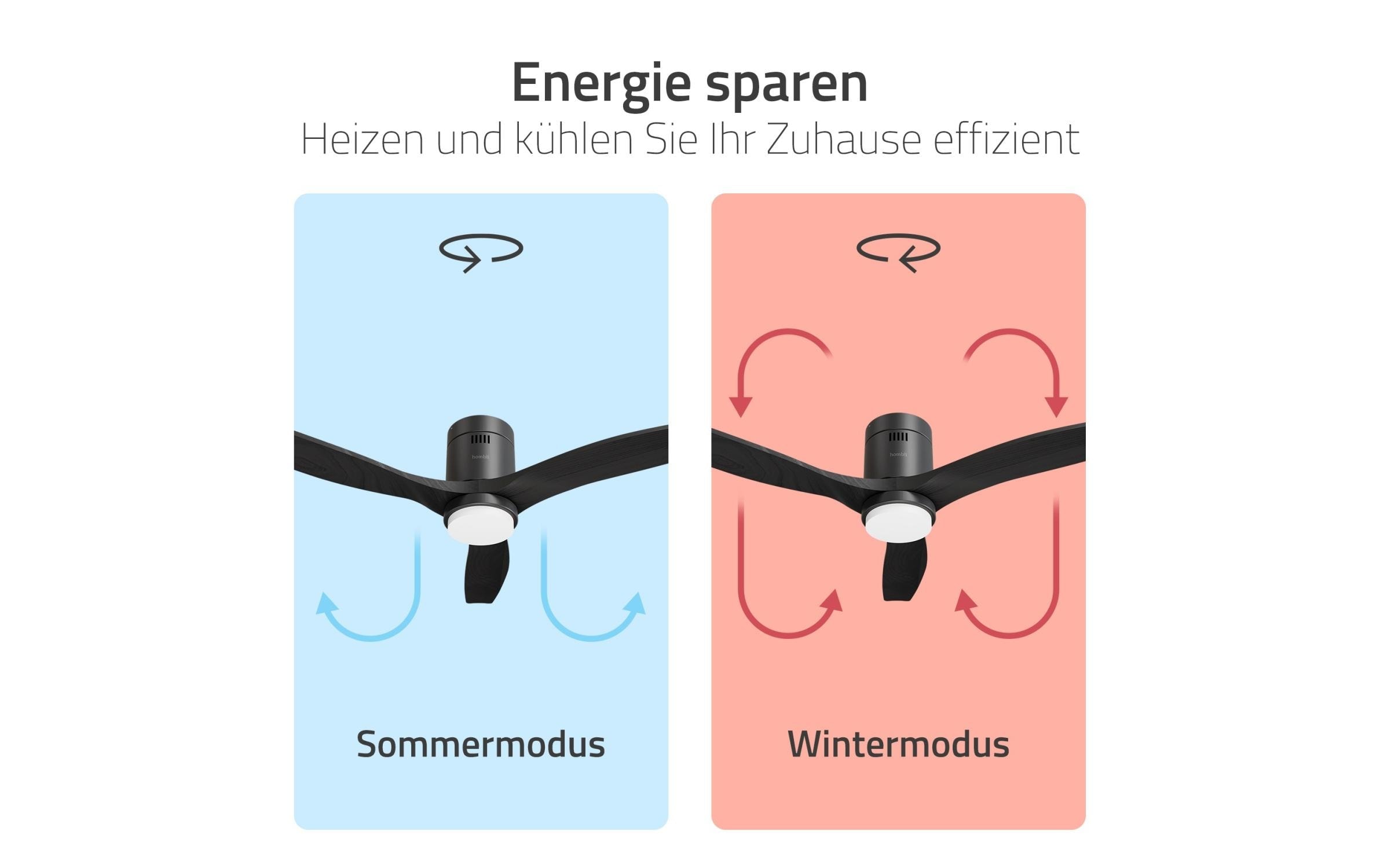 Hombli Ventilateur de plafond »1320 mm« 132 cm Durchmesser
