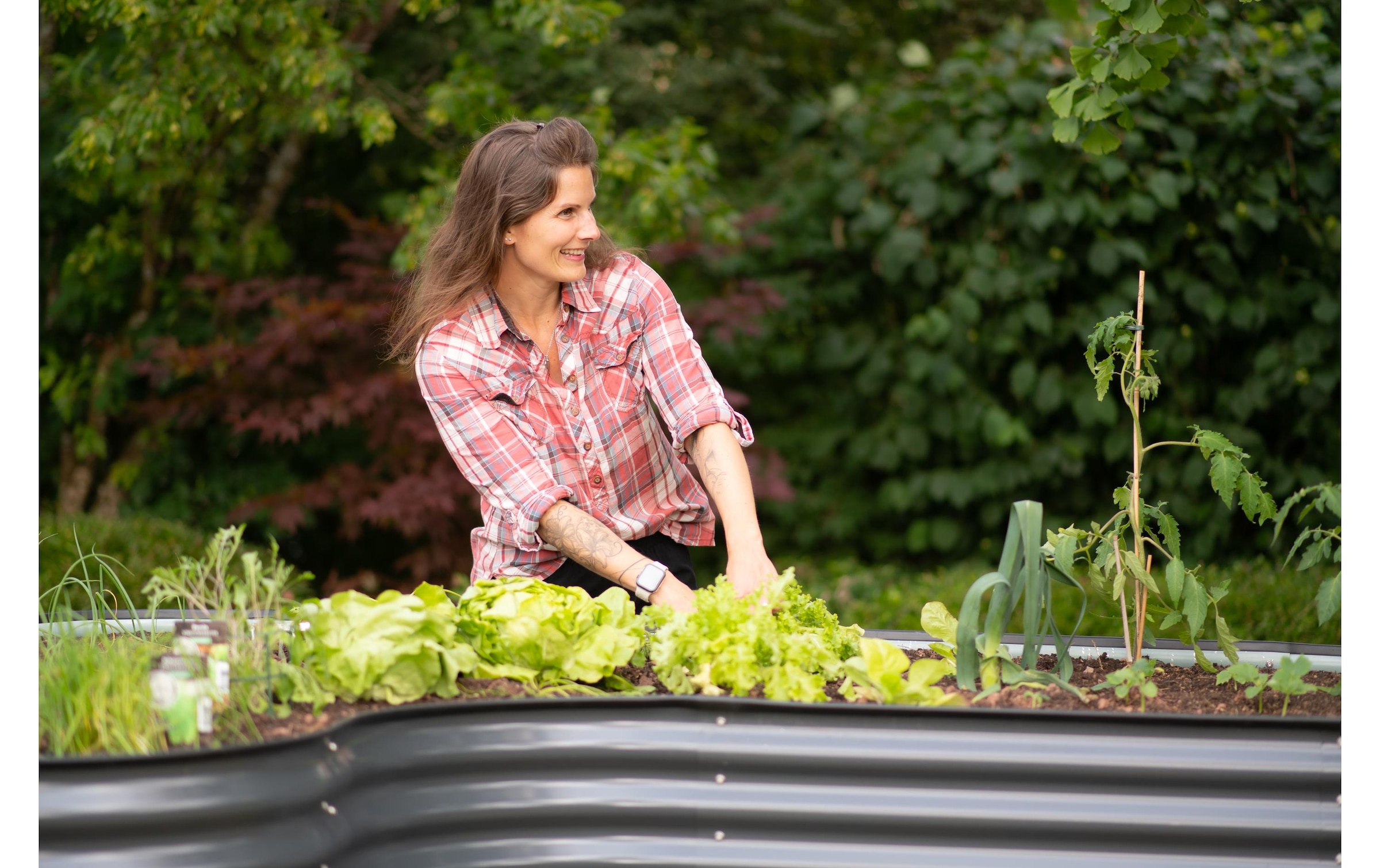 WESTMANN Lit surélevé »Hochbeet Grow Faster L-form«