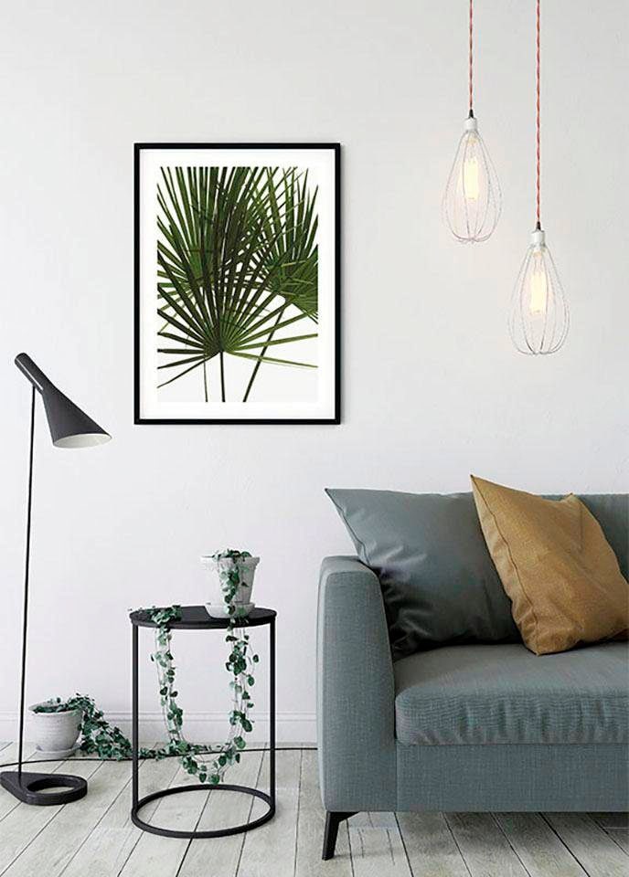 Komar Bild »Palmtree Leaves« Pflanzen 1 Stk. tlg. Wandbild zur Dekoration - ohne Rahmen