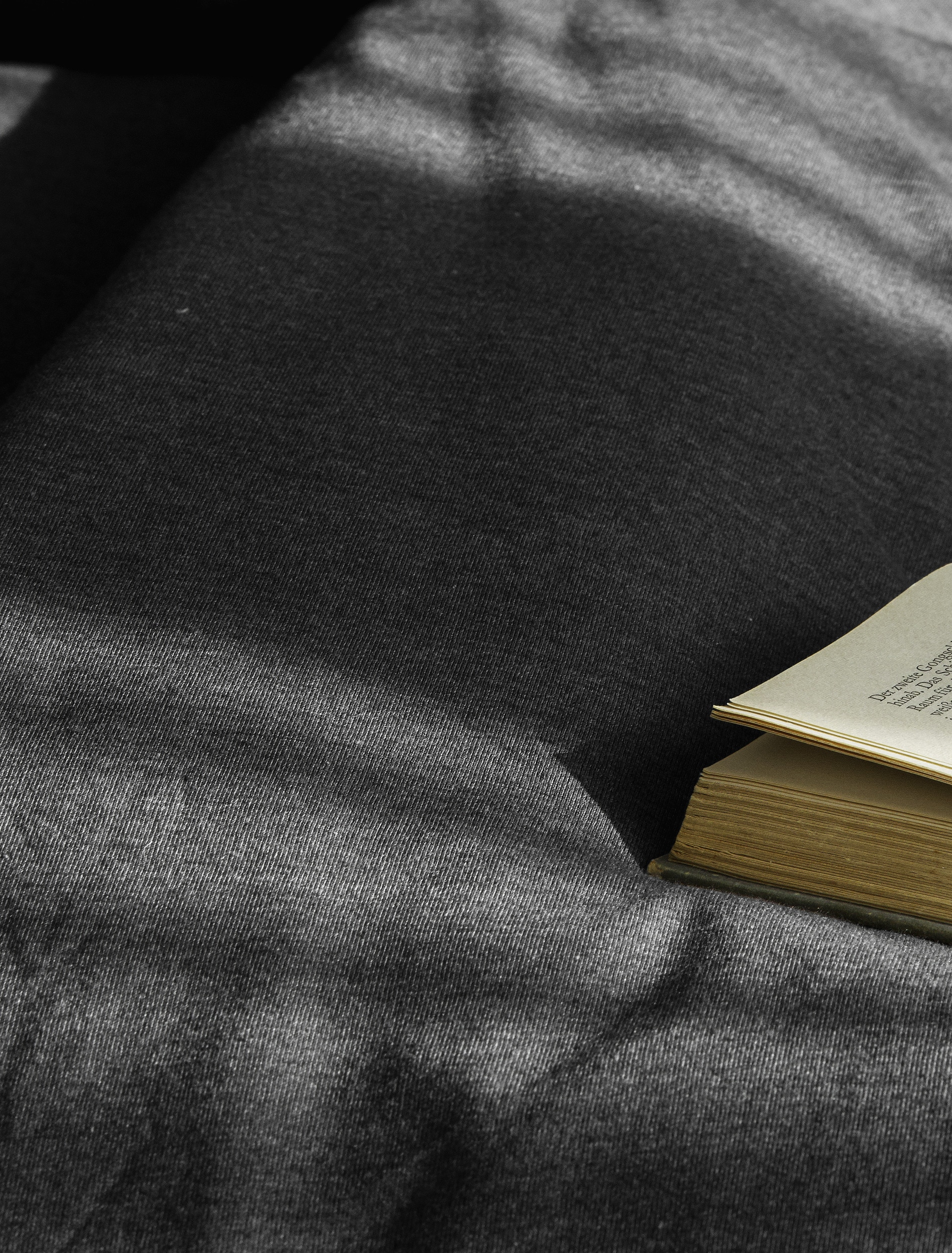 BIERBAUM Bettwäsche »4135« 2 Stk. Jersey-Melange, bügelfrei, designed in Germany