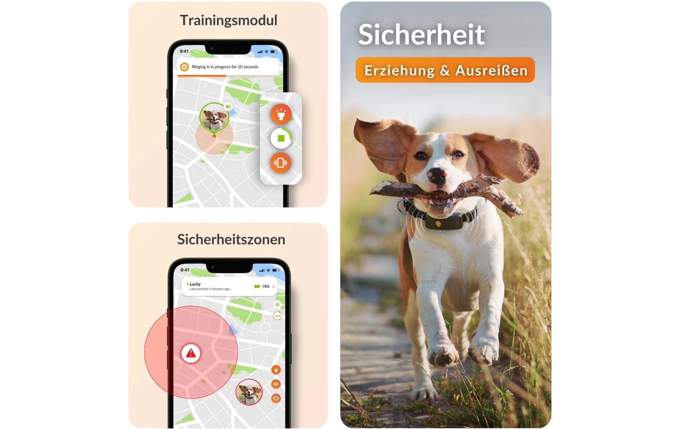   GPS-Hundetracker »Weenect für Hunde XT mit Halsband«