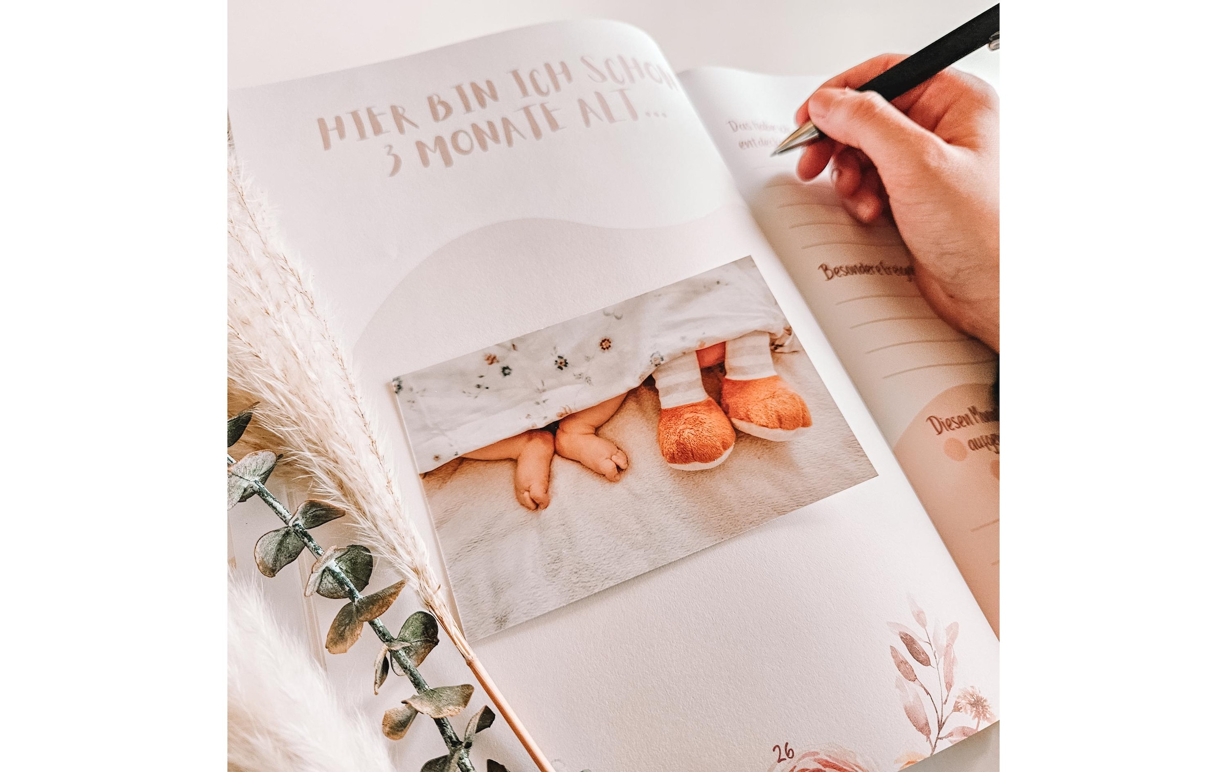   Buch »Eulentaler Blumen«