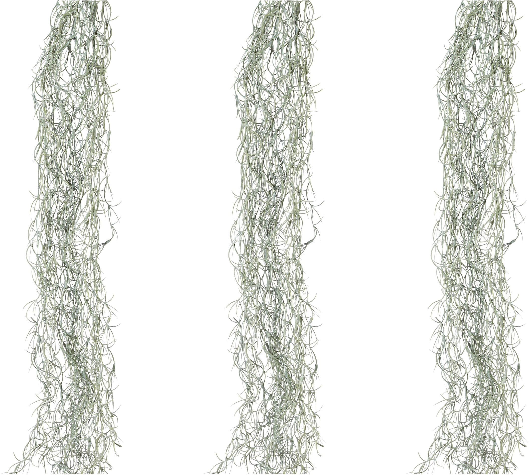 Creativ green Liane artificielle »Tillandsienranke«