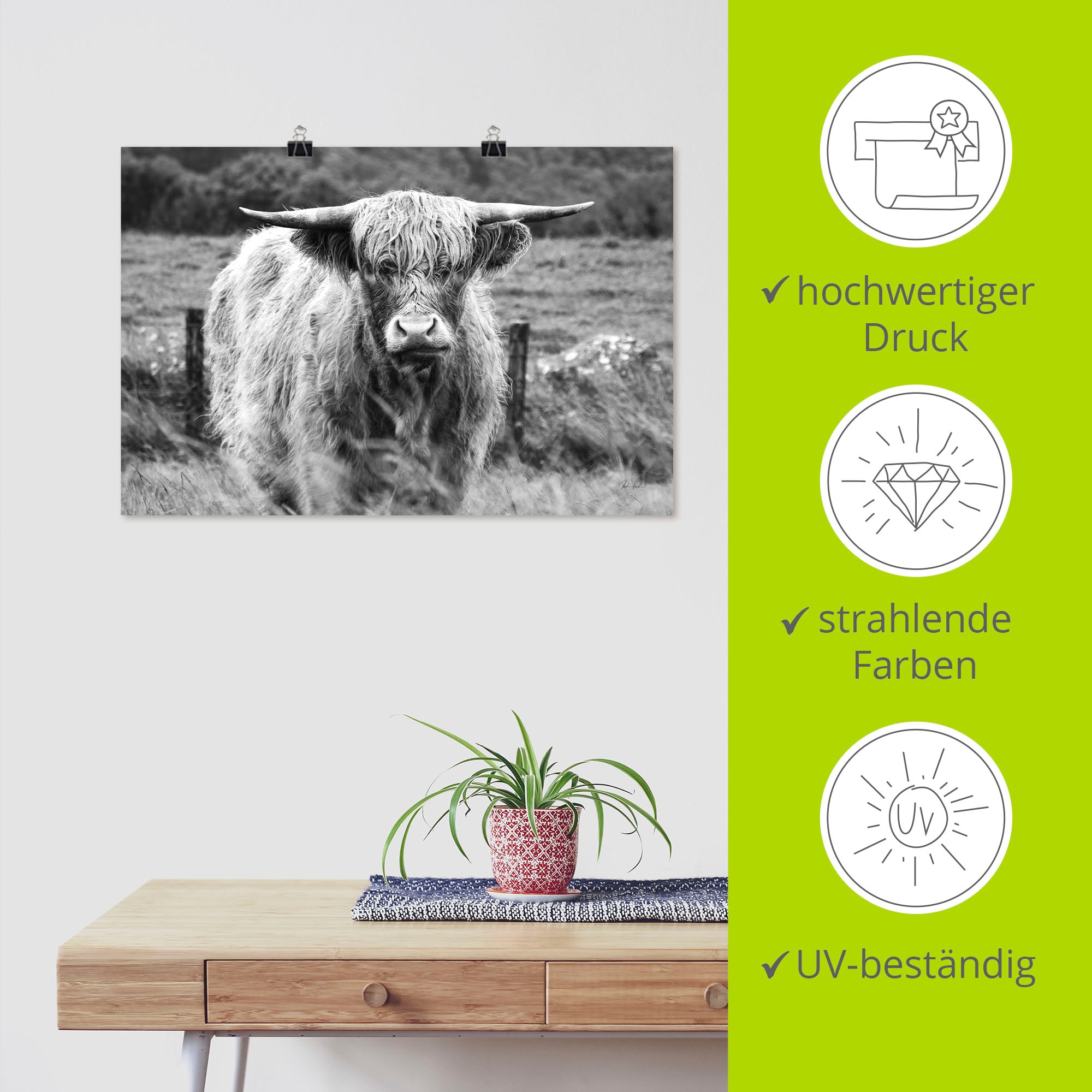 Artland Wandbild »Happy Highland« Wildtiere 1 Stk. tlg. als Alubild, Leinwandbild, Poster, Wandaufkleber in verschied. Grössen