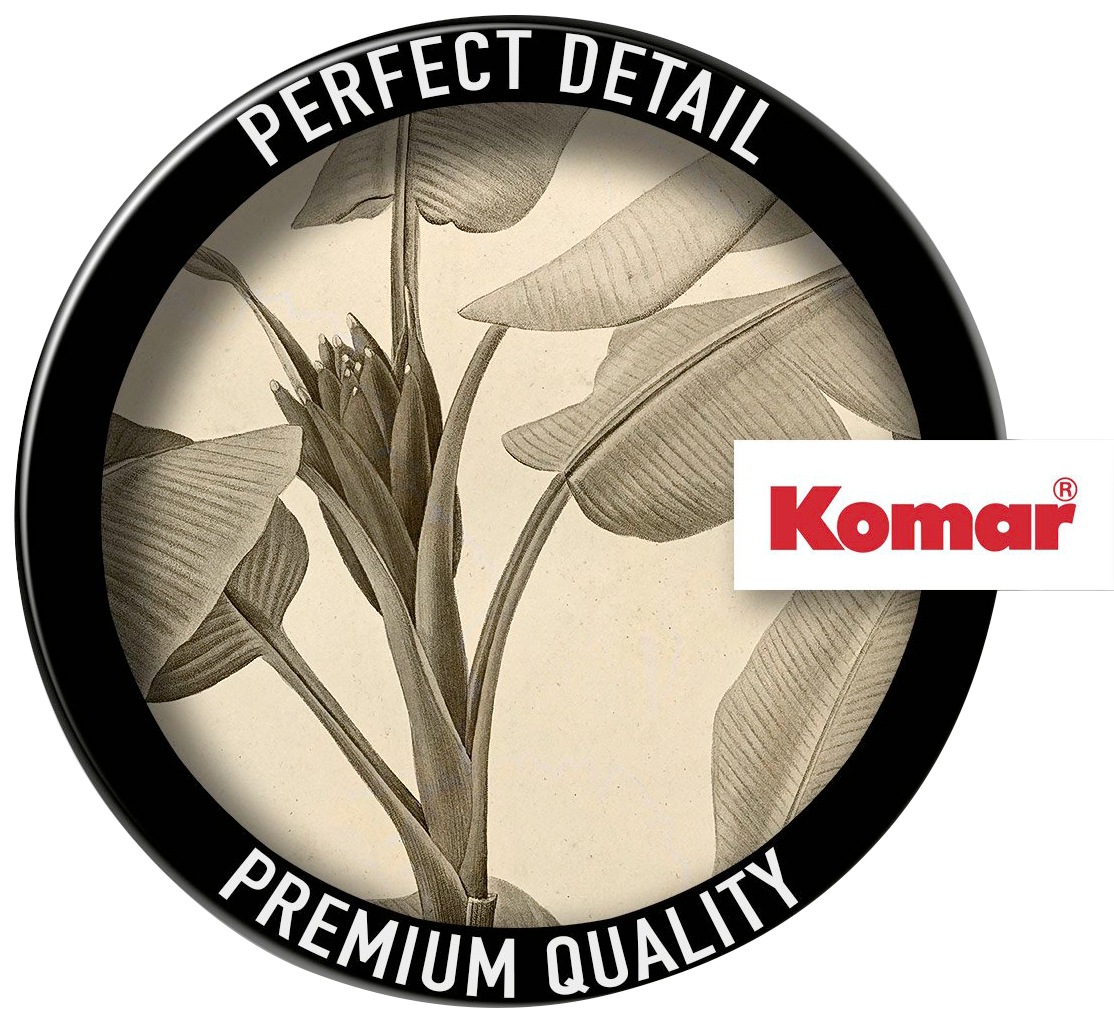 Komar Fototapete »Vlies selbstklebend - Banana Plant - Grösse 125 x 125 cm« bedruckt glatt Wohnzimmer, Schlafzimmer