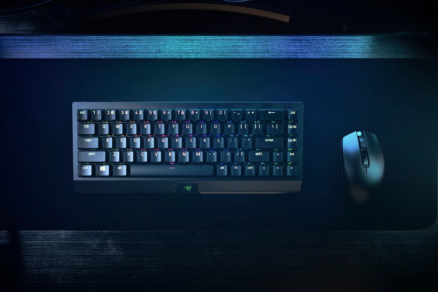 RAZER Gaming-Tastatur »BlackWidow V3 Mini HyperSpeed - Gelb Switch - DE« (Gaming-Modus | Profil-Speicher)
