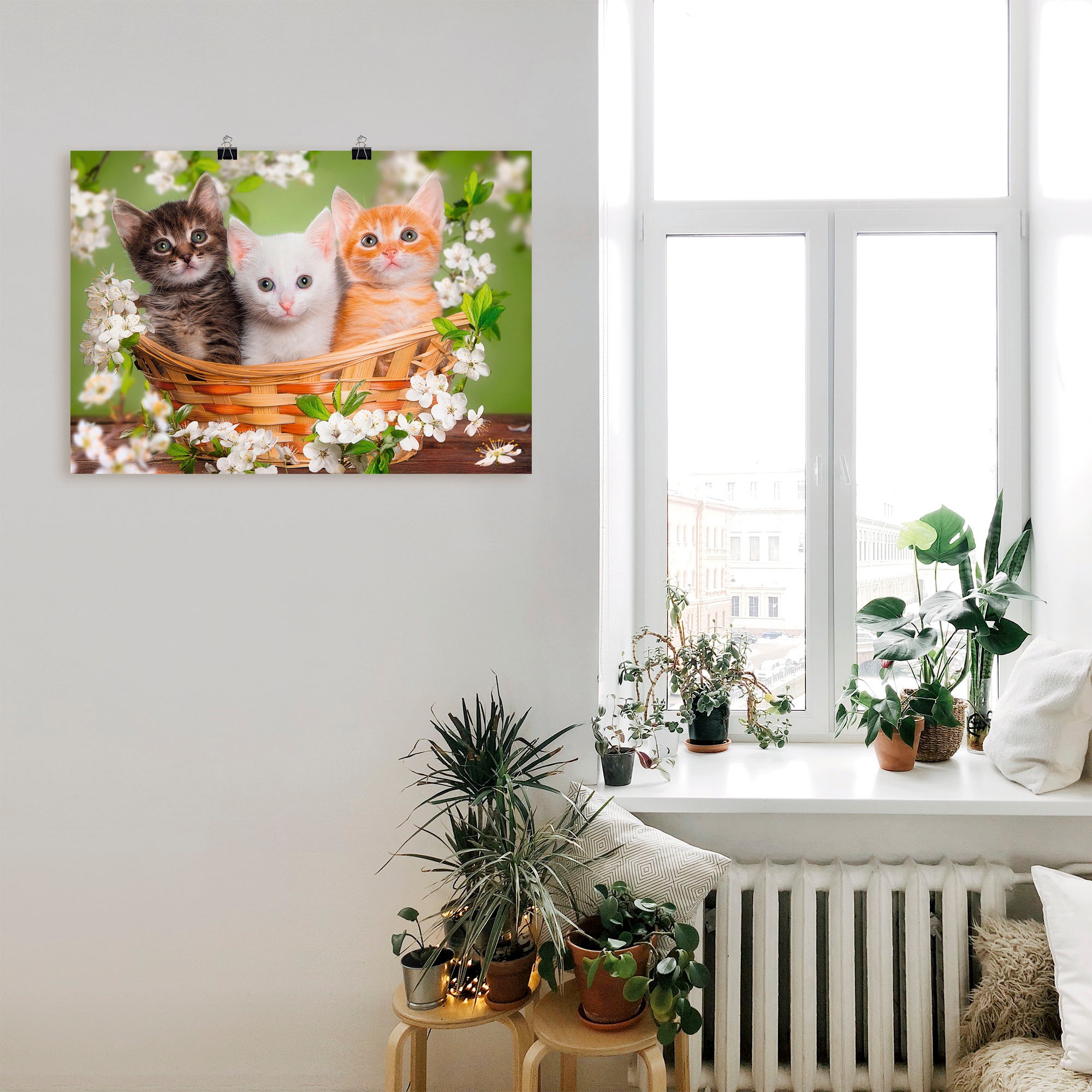 Artland Wandbild »Katzen sitzen in einem Korb« Haustiere 1 Stk. tlg. als Leinwandbild, Poster in verschied. Grössen