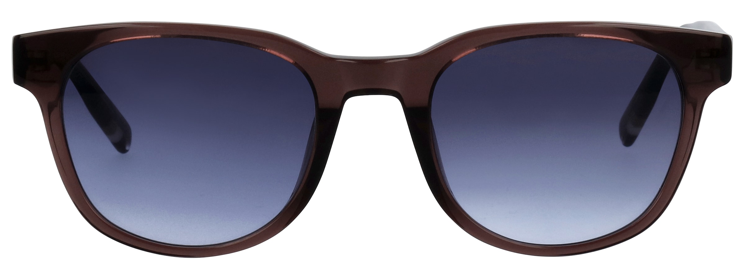 TOM TAILOR Lunettes de soleil »Modell 676018« Forme carrée/douce, logo sur la branche, monture en plastique
