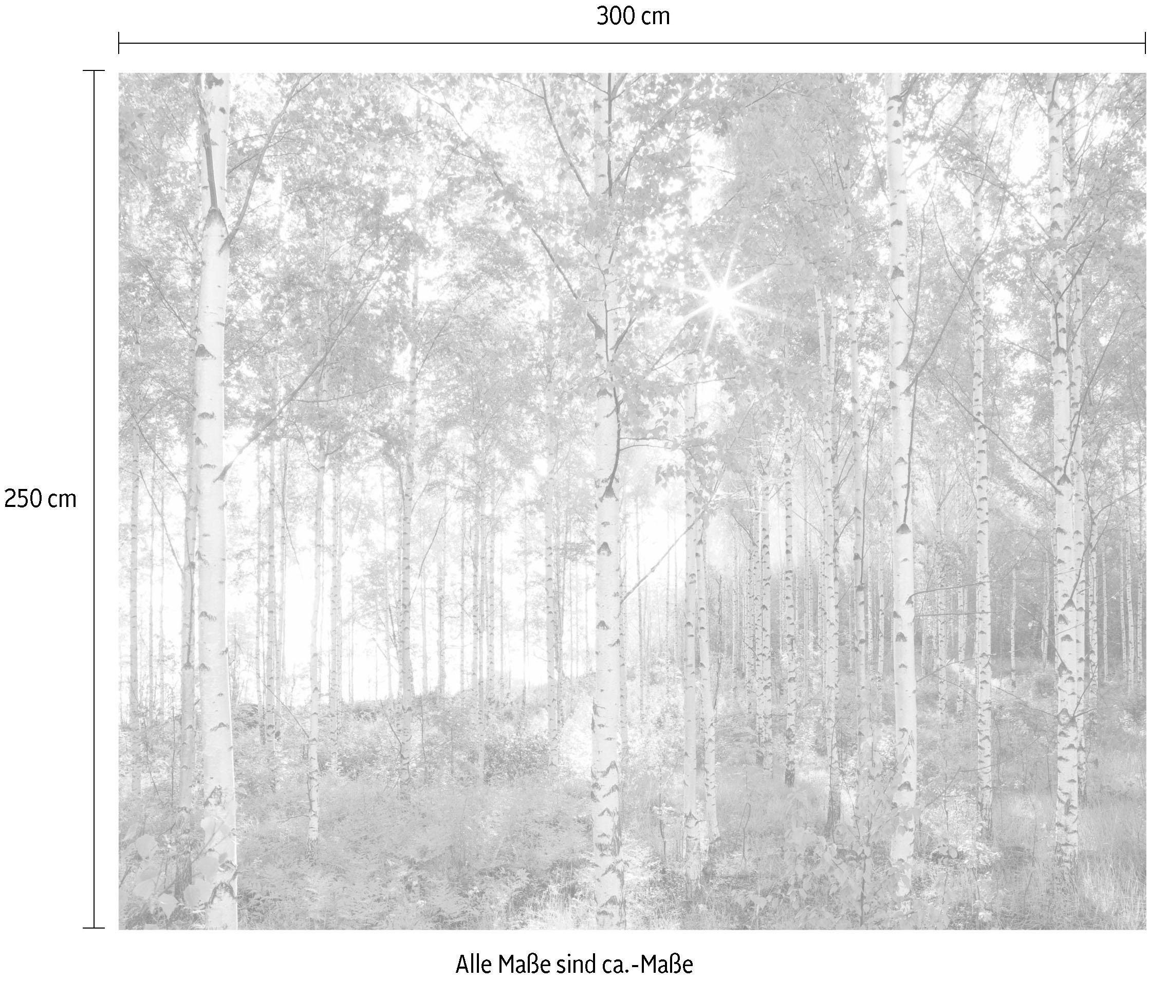 Komar Papier peint intissé »Digitaldruck Vlies -  Sunday - Grösse 300 x 250 cm« imprimé Wohnzimmer, Schlafzimmer