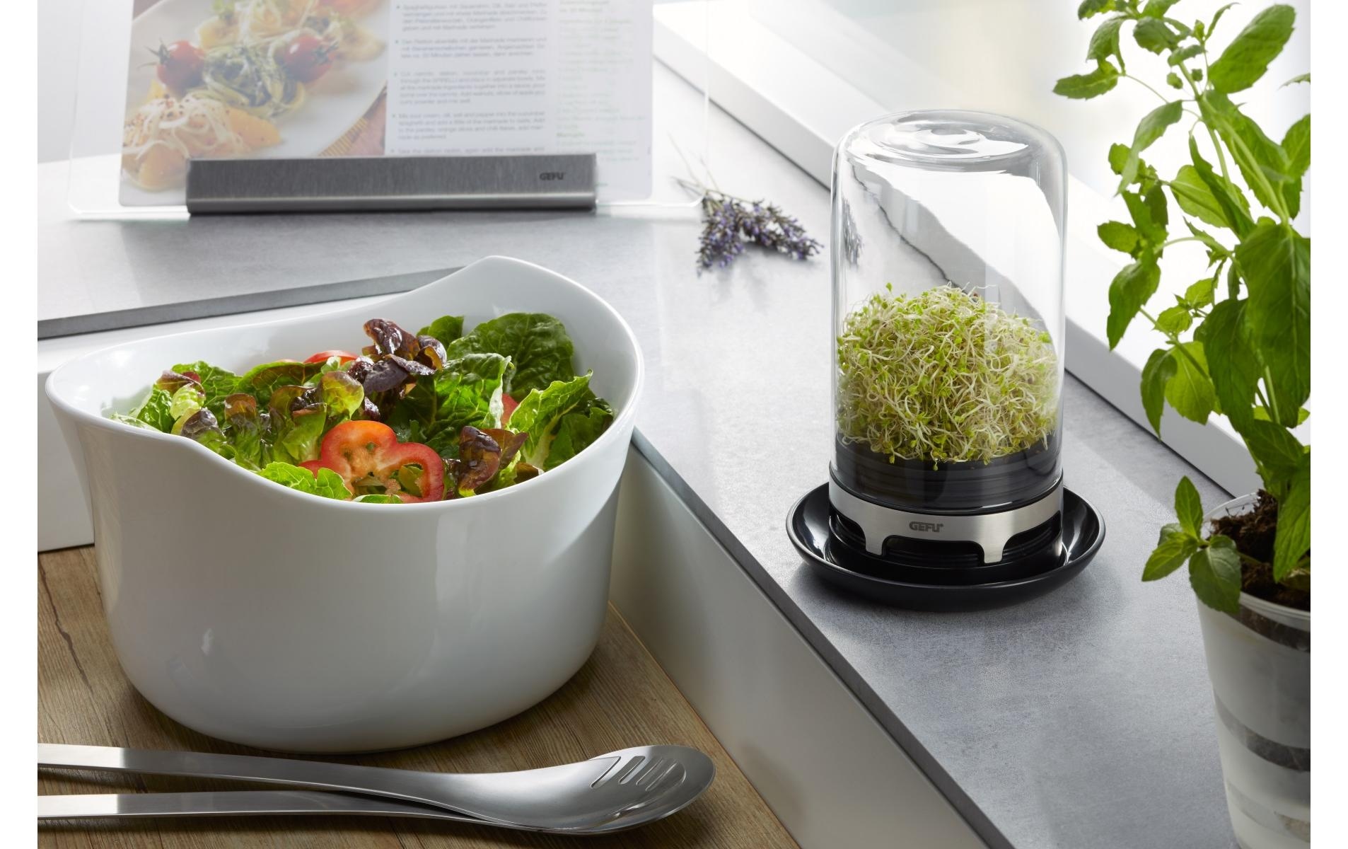 GEFU Salatbox »Bivita 0.75 l«