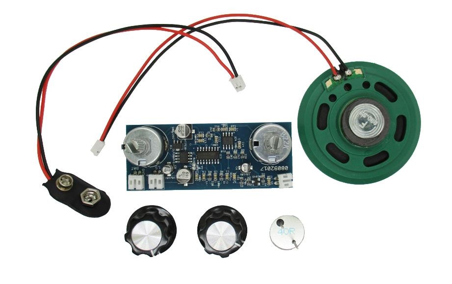 Franzis Lernspielzeug »Fledermausdetektor zum Selberbauen«