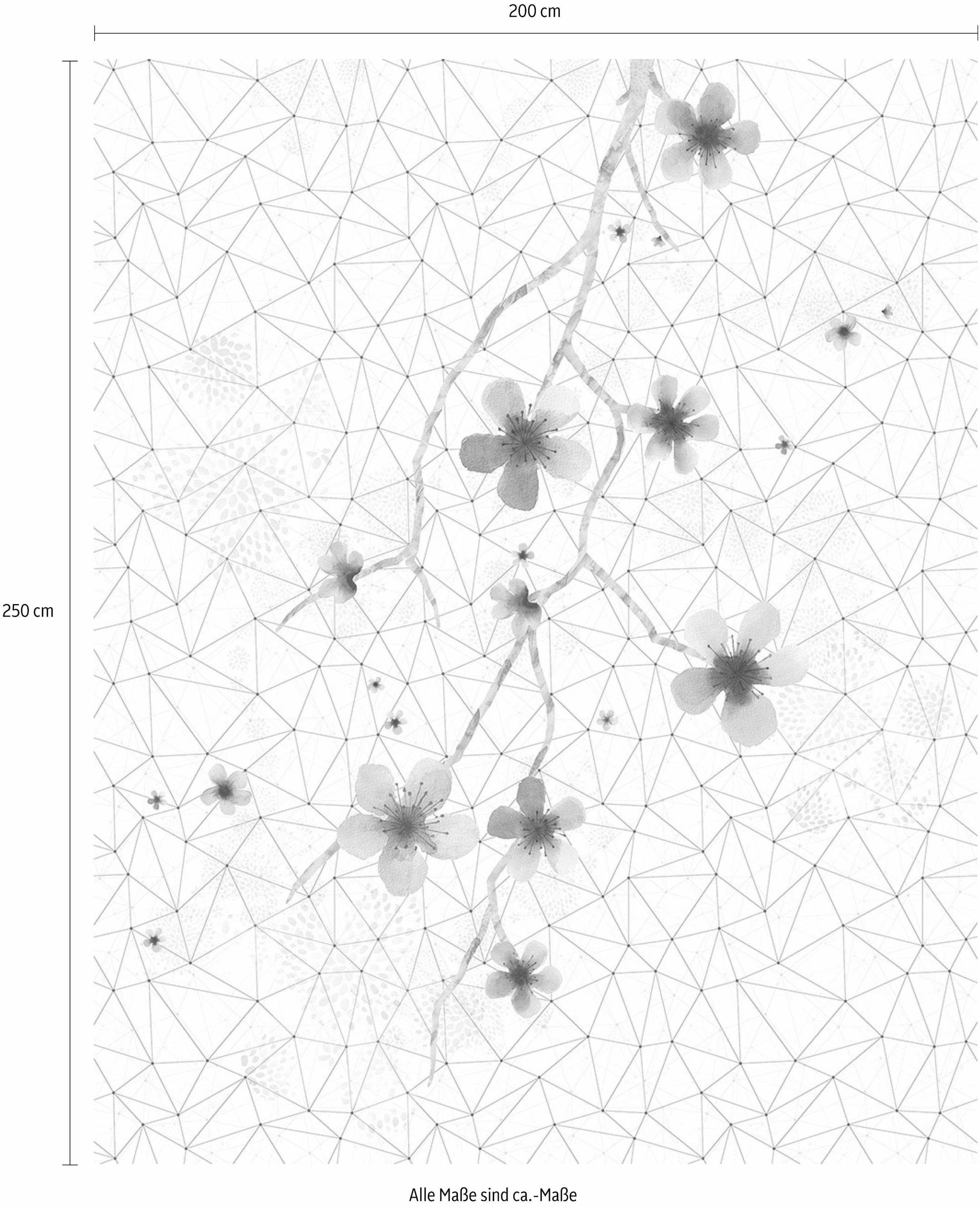 Komar Papier peint intissé »Digitaldruck Vlies -  Cherry Tree - Grösse 200 x 250 cm« imprimé Wohnzimmer, Schlafzimmer