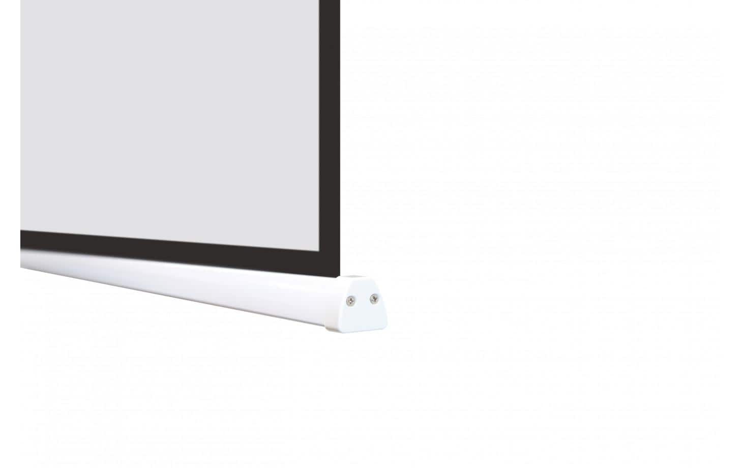 Celexon Motorleinwand »Batterie V2.0 Motor Pro Plus 300x169 cm«