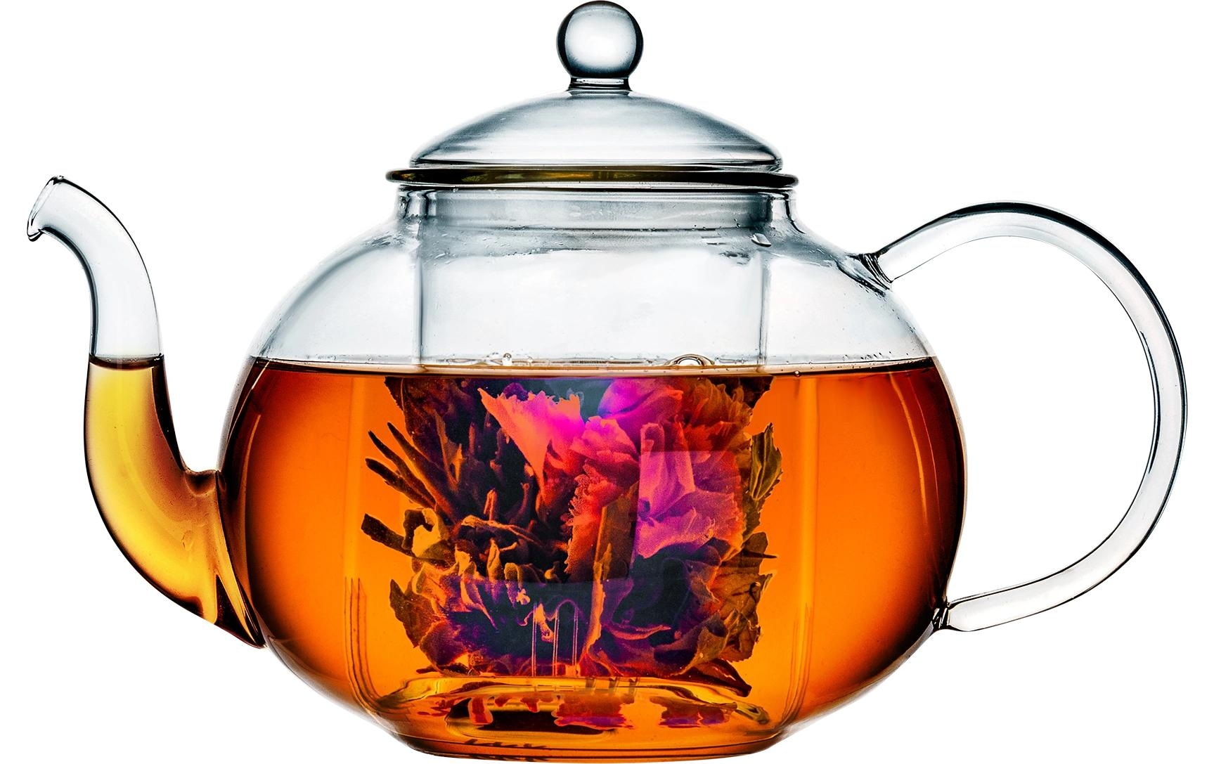 Bredemeijer Théière »Verona« 1 l