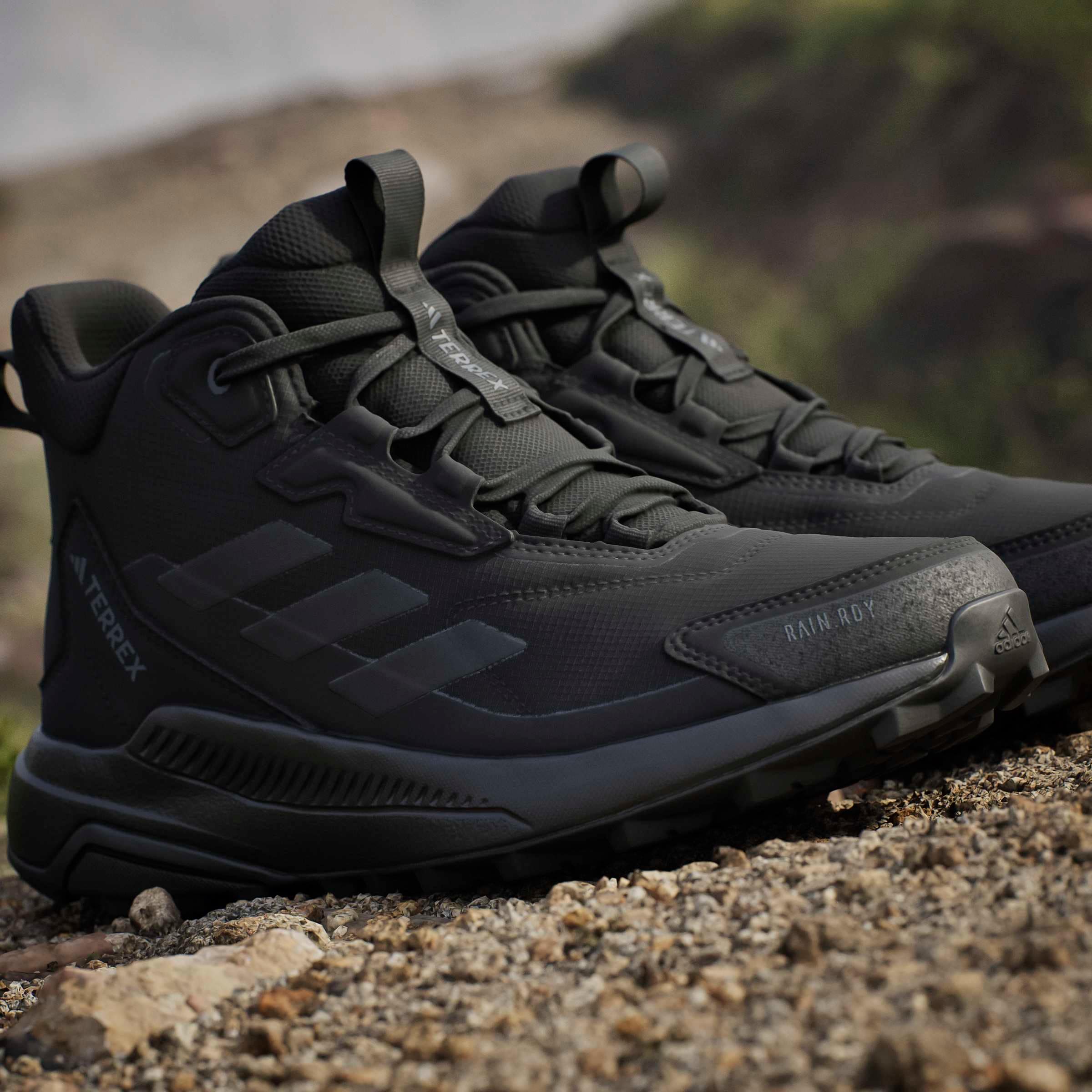 adidas TERREX Chaussure de randonnée »TERREX ANYLANDER MID RAIN.RDY«  wasserdicht