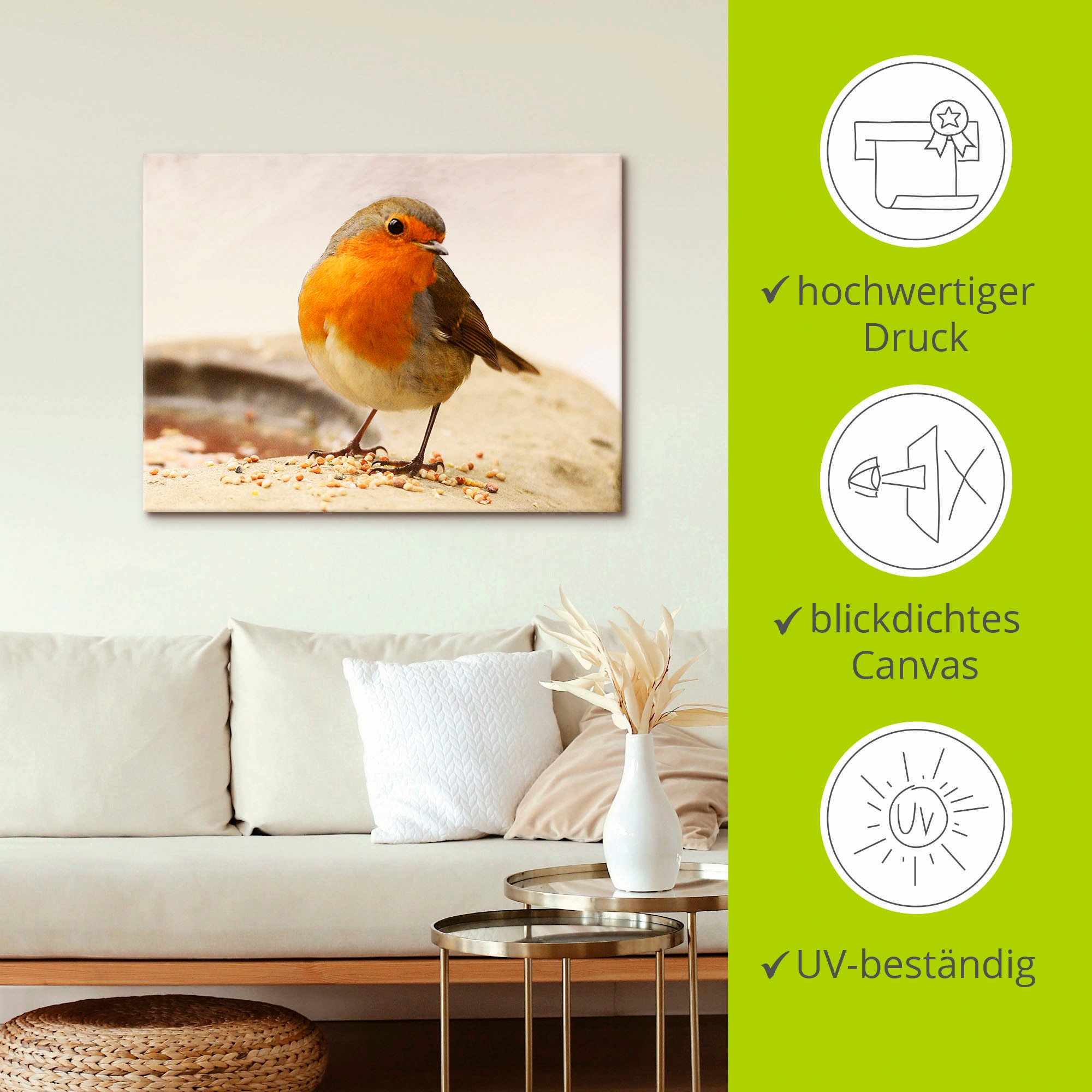 Artland Leinwandbild »Rotkehlchen« Vögel 1 Stk. tlg. auf Holzrahmen gespannt