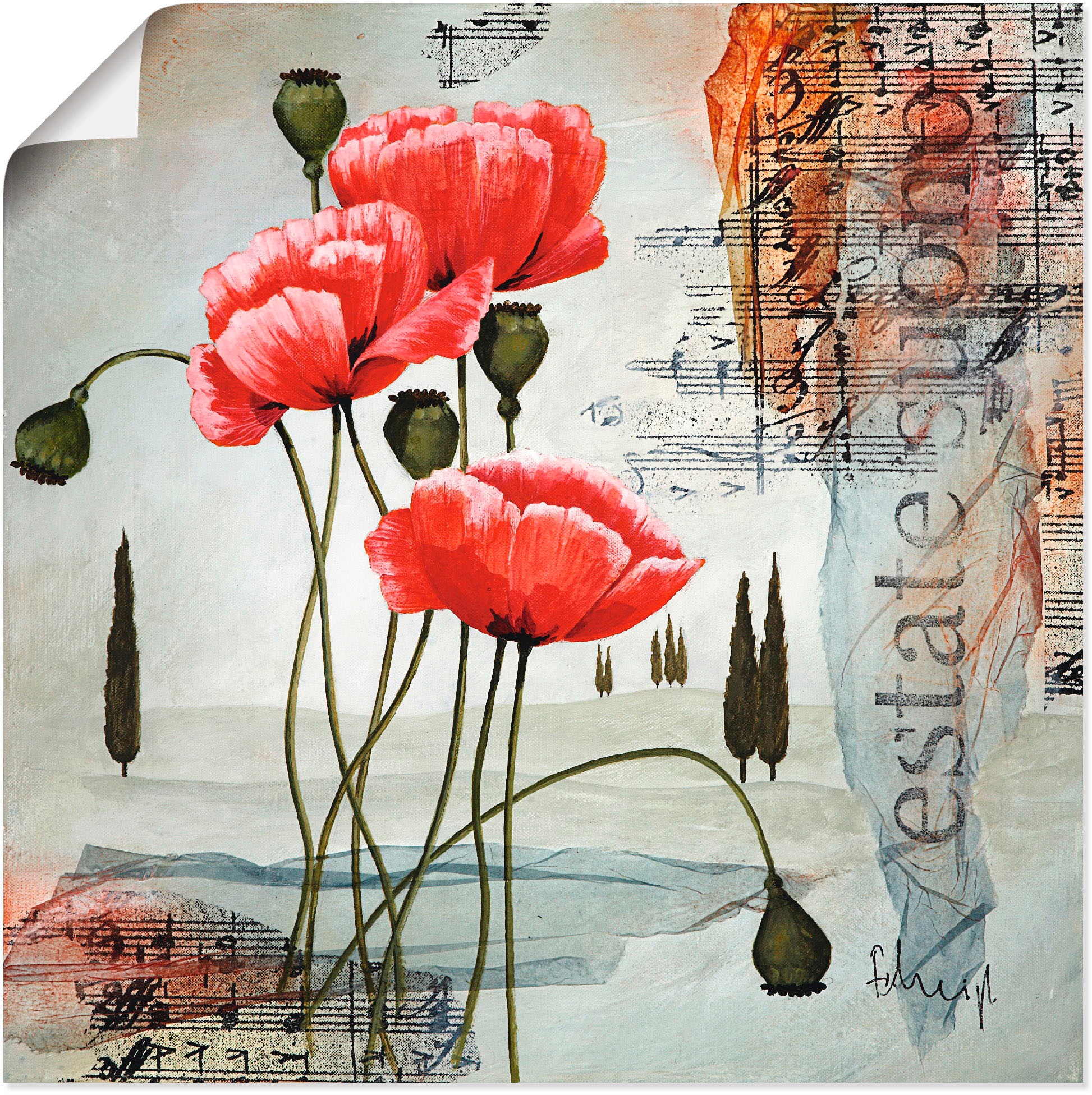 Artland Fresque murale »Klatschmohn« 1 cuis tlg. als Leinwandbild, Poster in verschied. Grössen