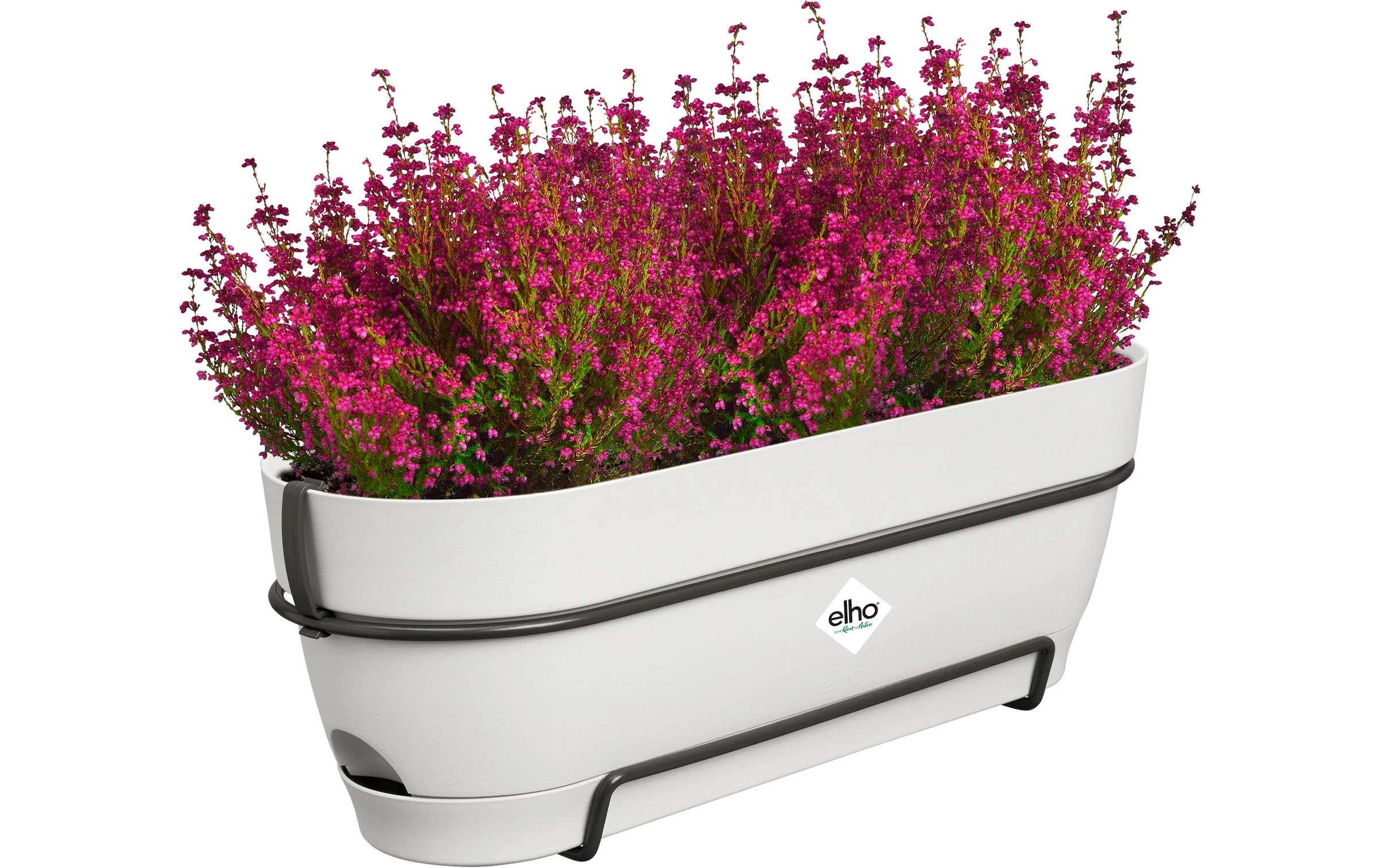 Elho Pot de fleurs »Vibia Campana Balkonkasten Allin1 50 cm«