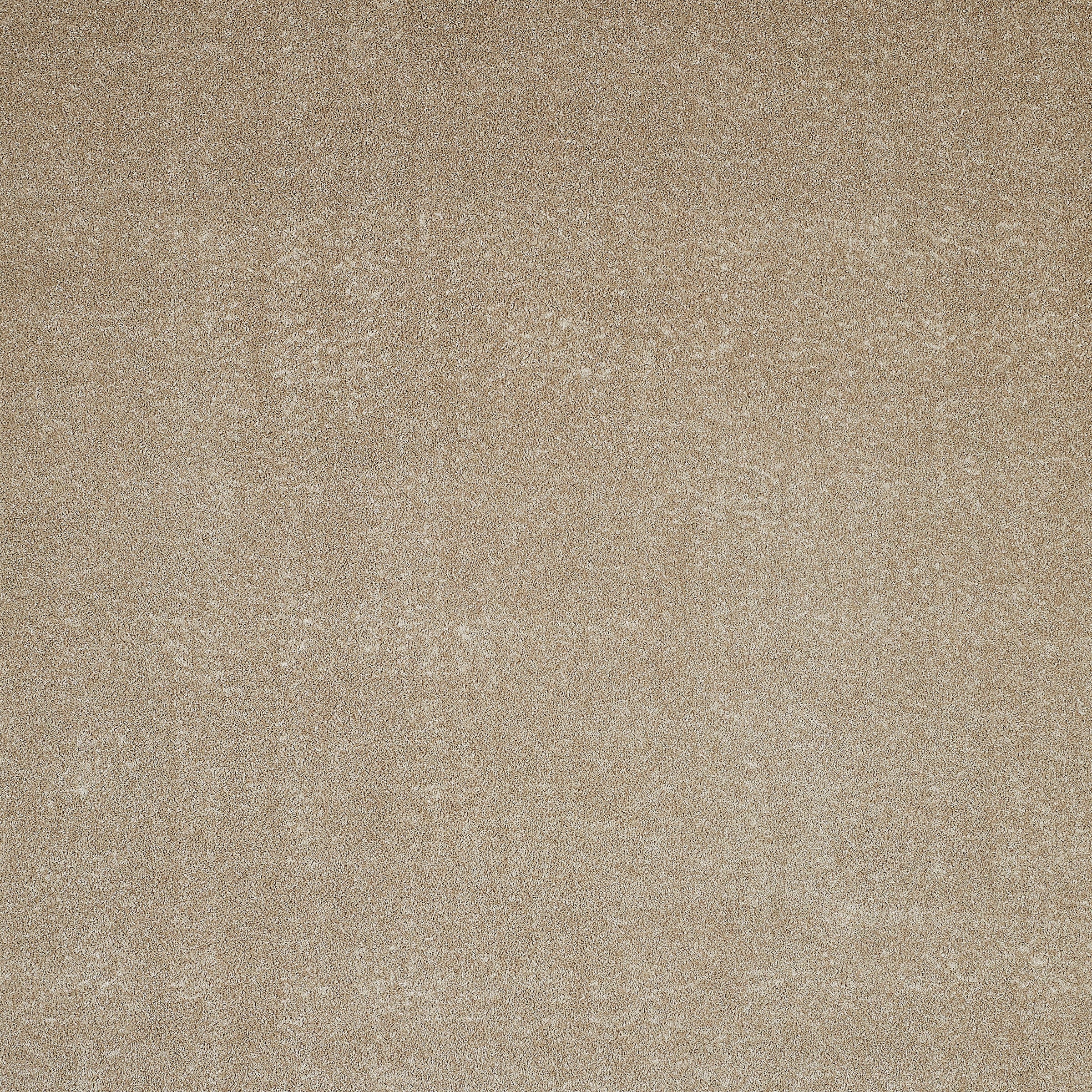 Andiamo Moquette »Portland, Velours, Gesamthöhe 11 mm, Made in Netherlands« Rectangulaire Uni Farben, Breite 400 cm, Wohnzimmer, strapazierfähig, pflegeleicht