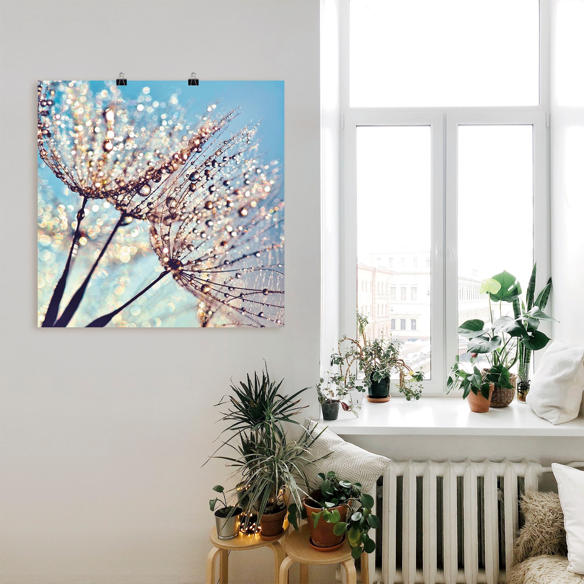 Artland Poster »Pusteblume Tröpfchenfänger« 1 cuis tlg. ohne Rahmen