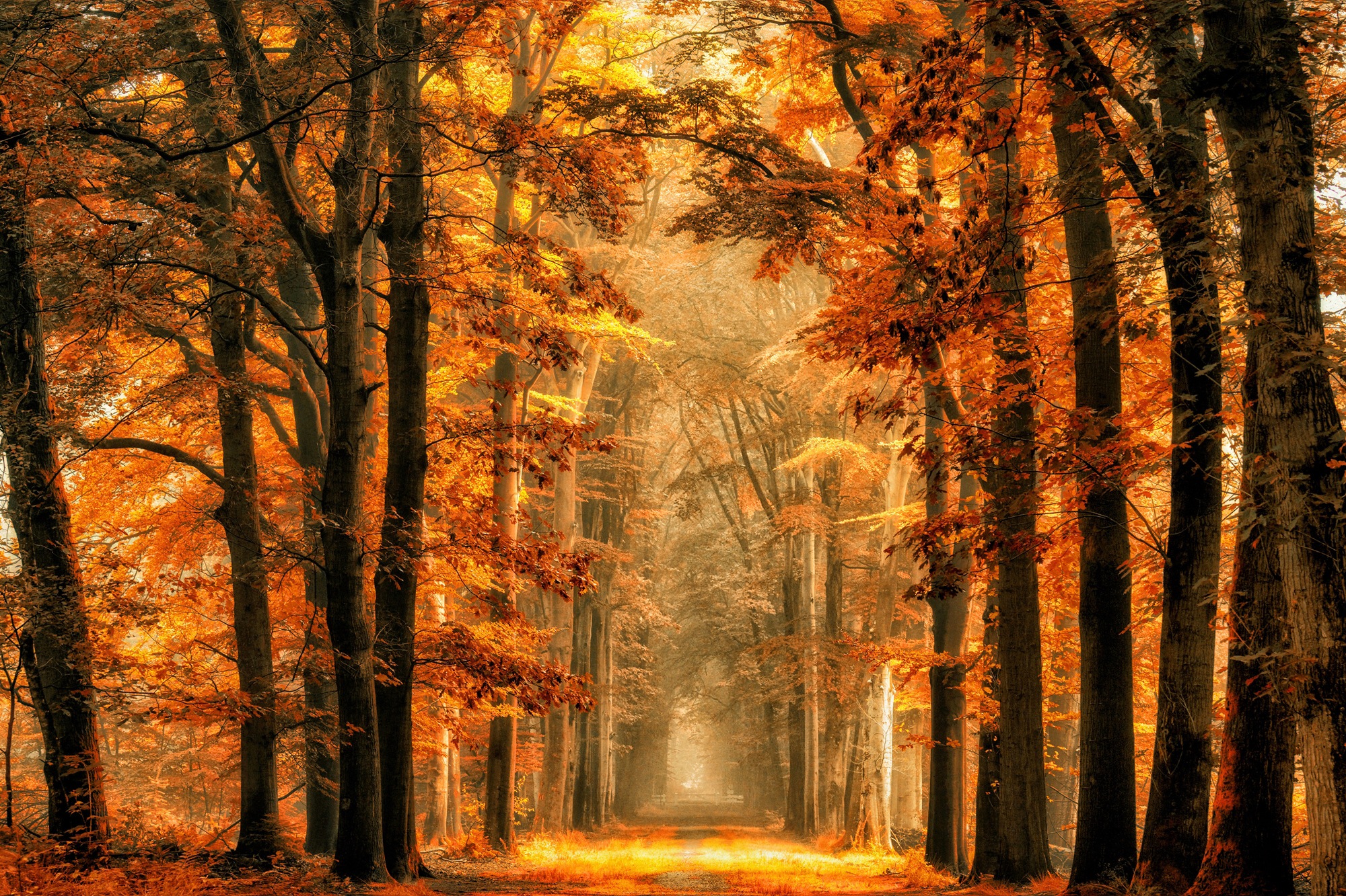 Papermoon Papier peint photo »Photo-Art   VAN DE, BEENDEN SIE DAS PORTAL«