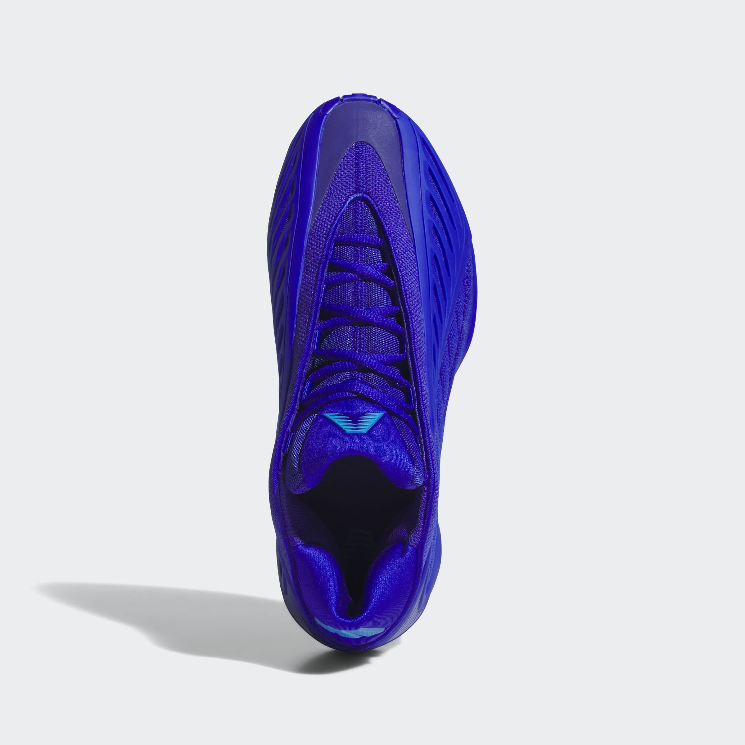 adidas Performance Chaussure de basket »ANTHONY EDWARDS 2«