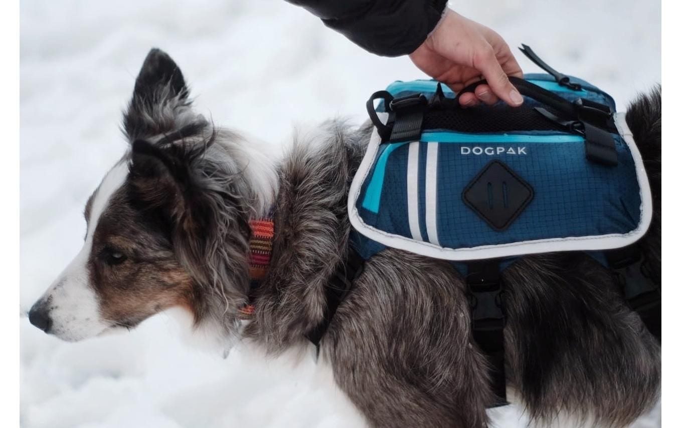   Harnais pour chien »DOGPAK Moab Lite Hunderucksack S« Rucksack und Wandergeschirr für Hunde aus «Die Höhle der Löwen»