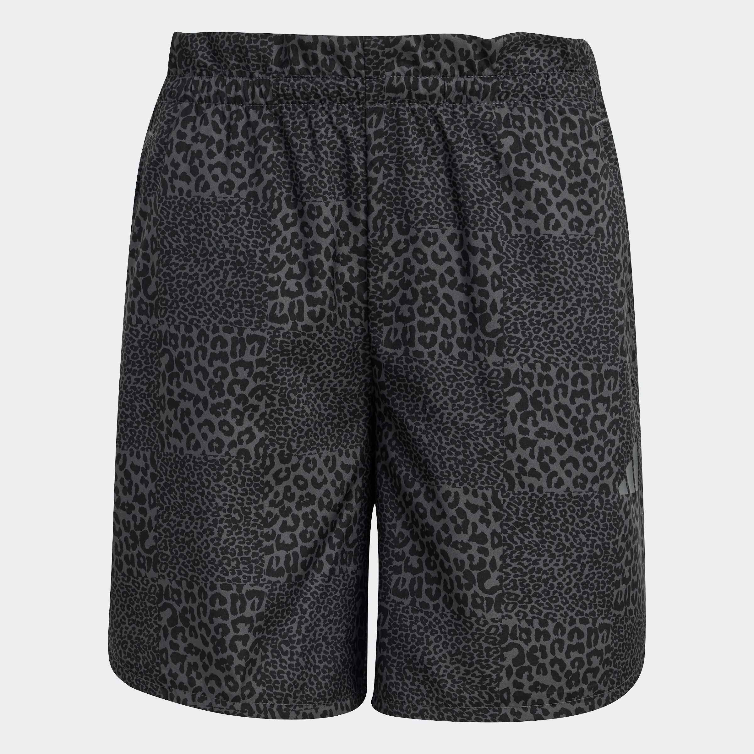 adidas Sportswear Shorts »FUTURE ICONS ALLOVER PRINTED«