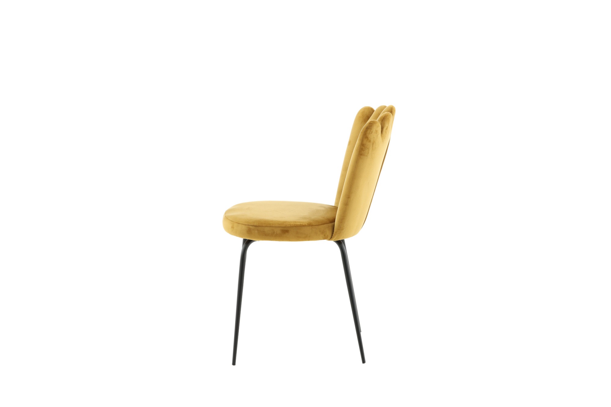 Venture Home Chaise de salle à manger »Limhamn, 2er-Set Esszimmerstühle, modern & charaktervoll« () chaise rembourrée, revêtement doux, pieds en métal, aspect coquillage, plein de caractère