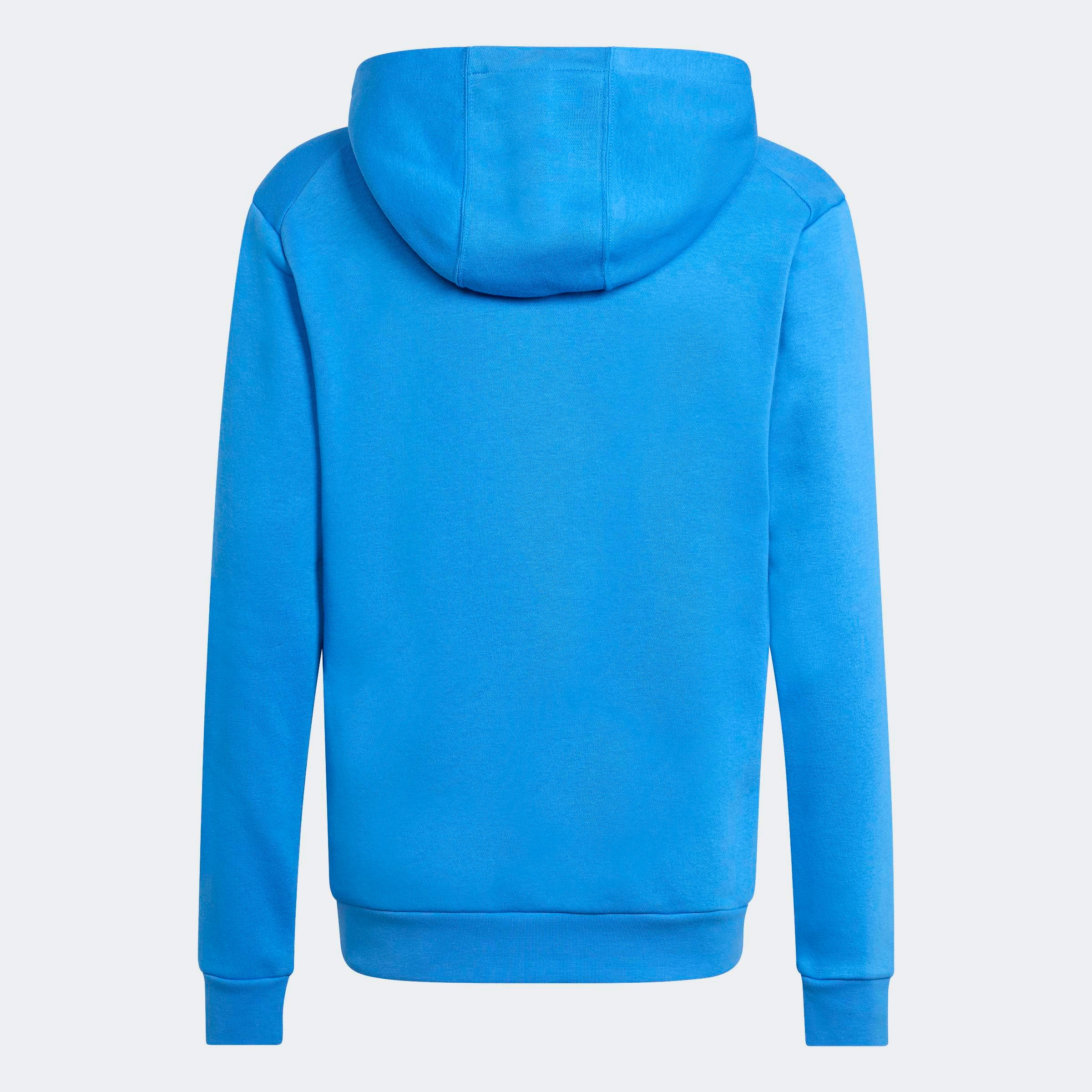 adidas TERREX Sweat à capuche »K MT LOGO HD«
