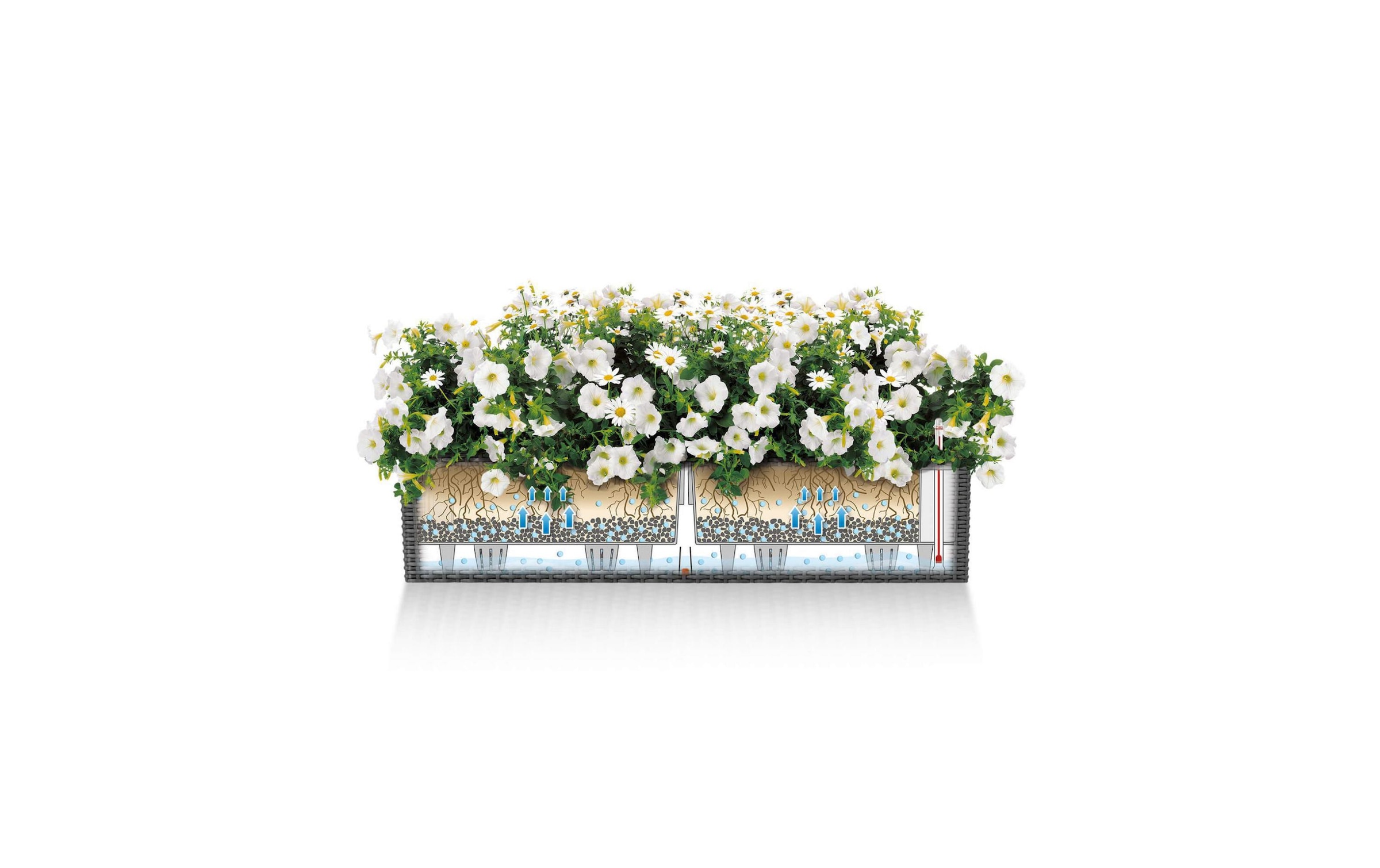   Pot de fleurs »Lechuza Balconera Cottage 80 Anthrazit«