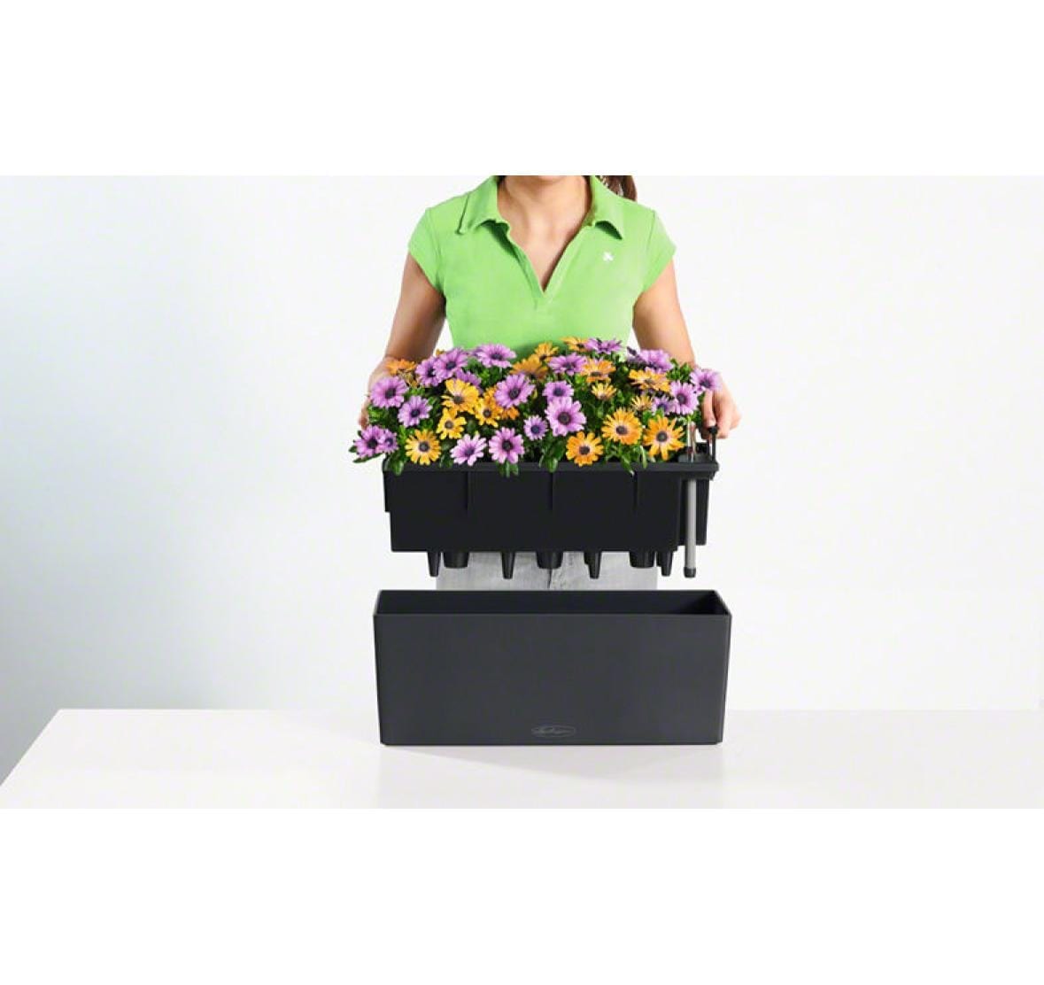   Bac à plantes »Balconera Color«