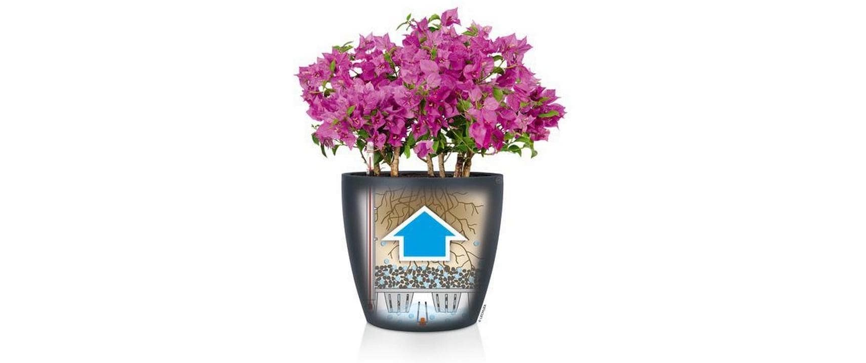   Pot de fleurs »Lechuza CLASSICO Color 28«