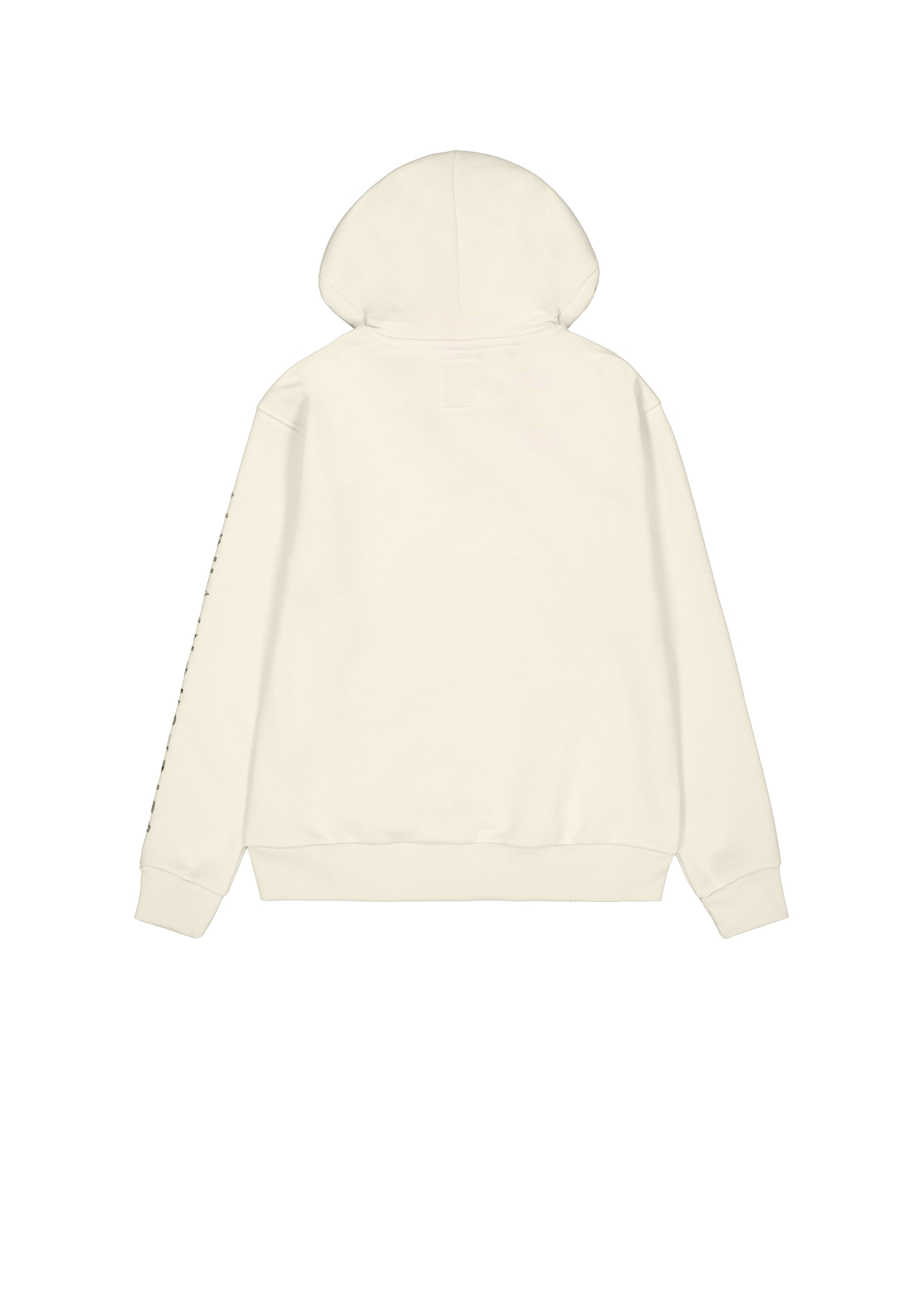 Alpha Industries Hoodie »Camo Sleeve Hoodie«
