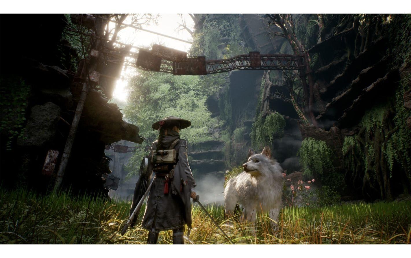   Spielesoftware »Beast of Reincarnation« PlayStation 5