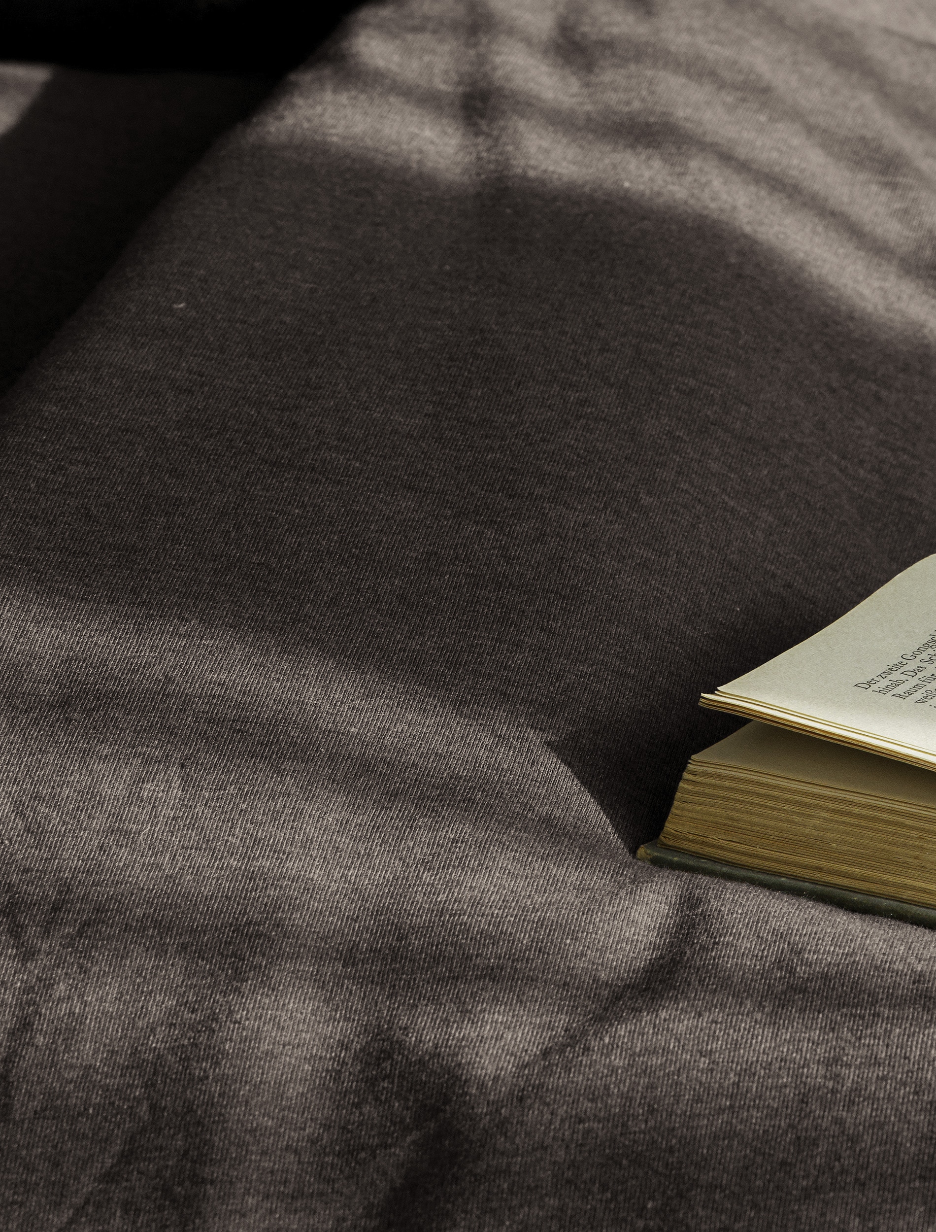 BIERBAUM Bettwäsche »4135« 2 Stk. tlg. Jersey-Melange, 100 % Baumwolle, bügelfrei